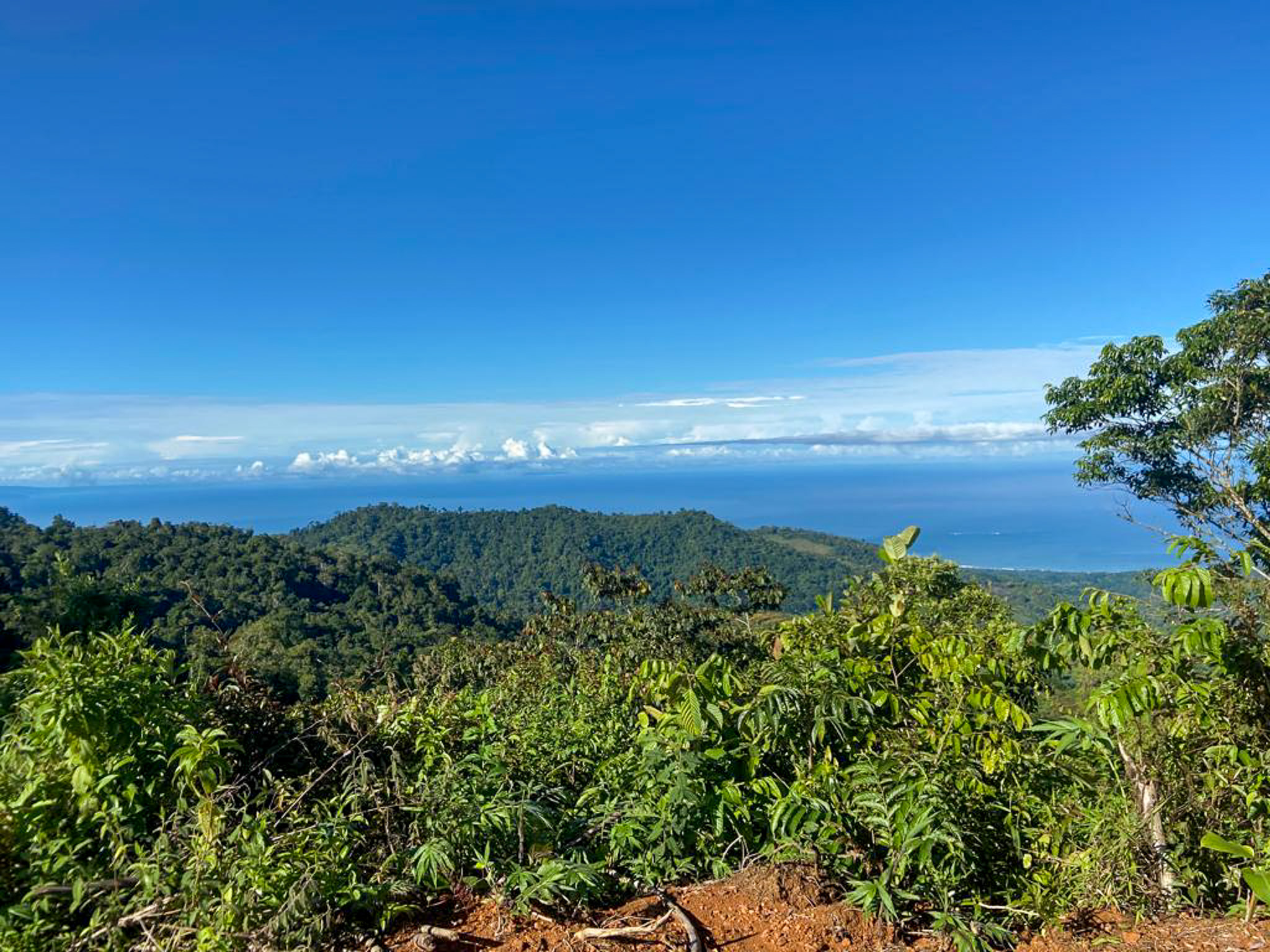 0 bed Land For Sale in Uvita, Puntarenas - thumb 1
