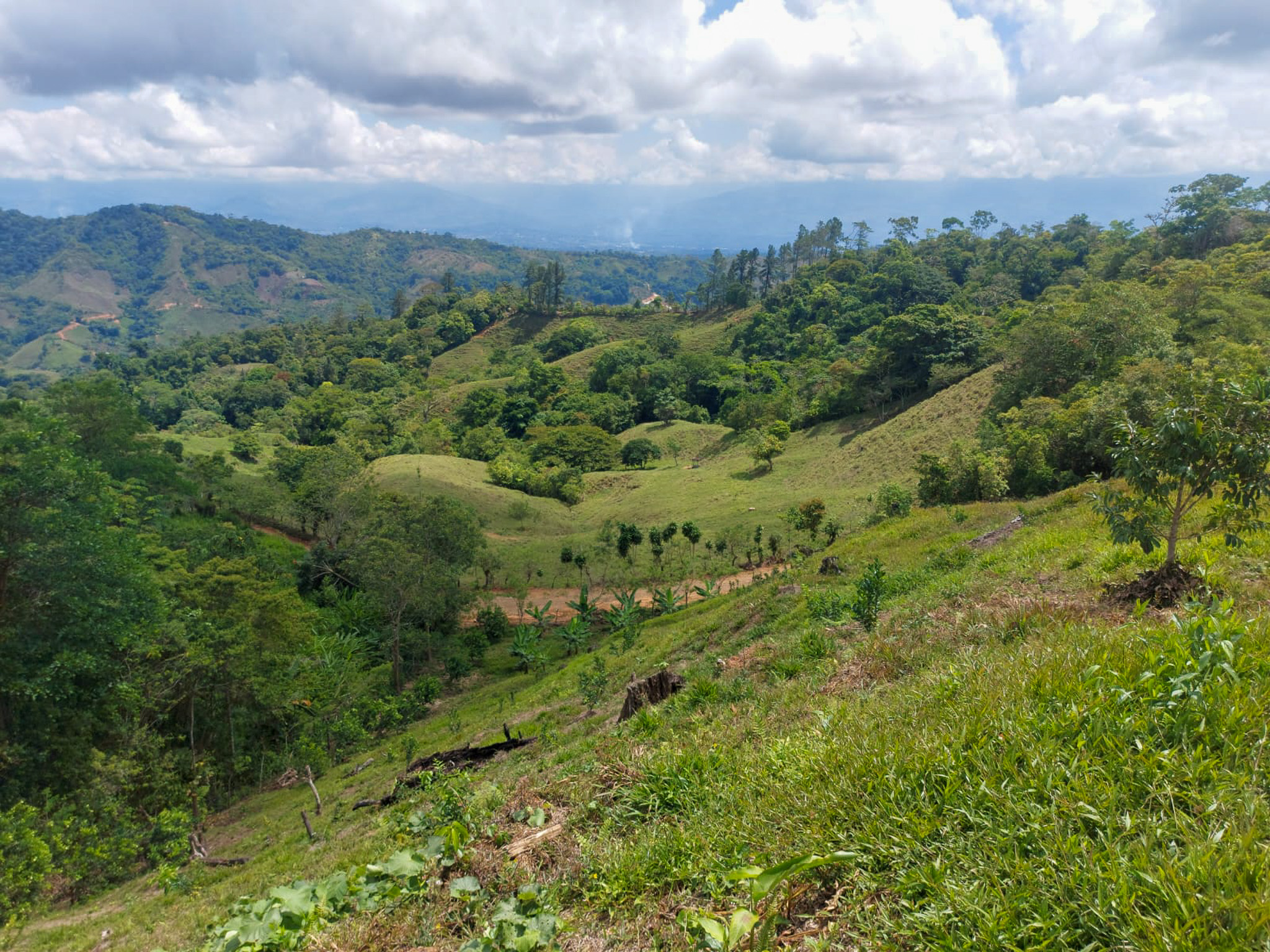 0 bed Land For Sale in Uvita, Puntarenas - thumb 14