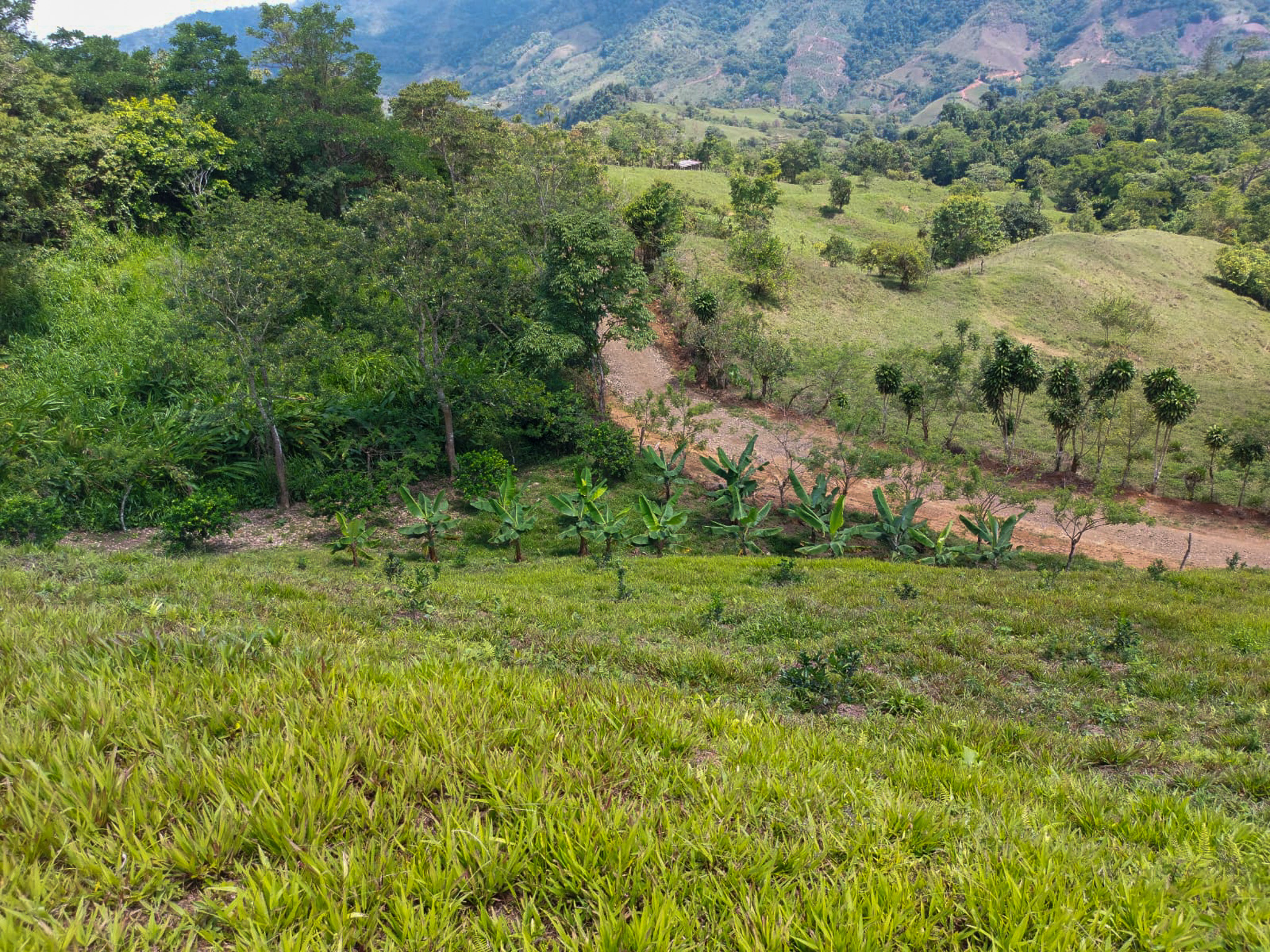 0 bed Land For Sale in Uvita, Puntarenas - thumb 17