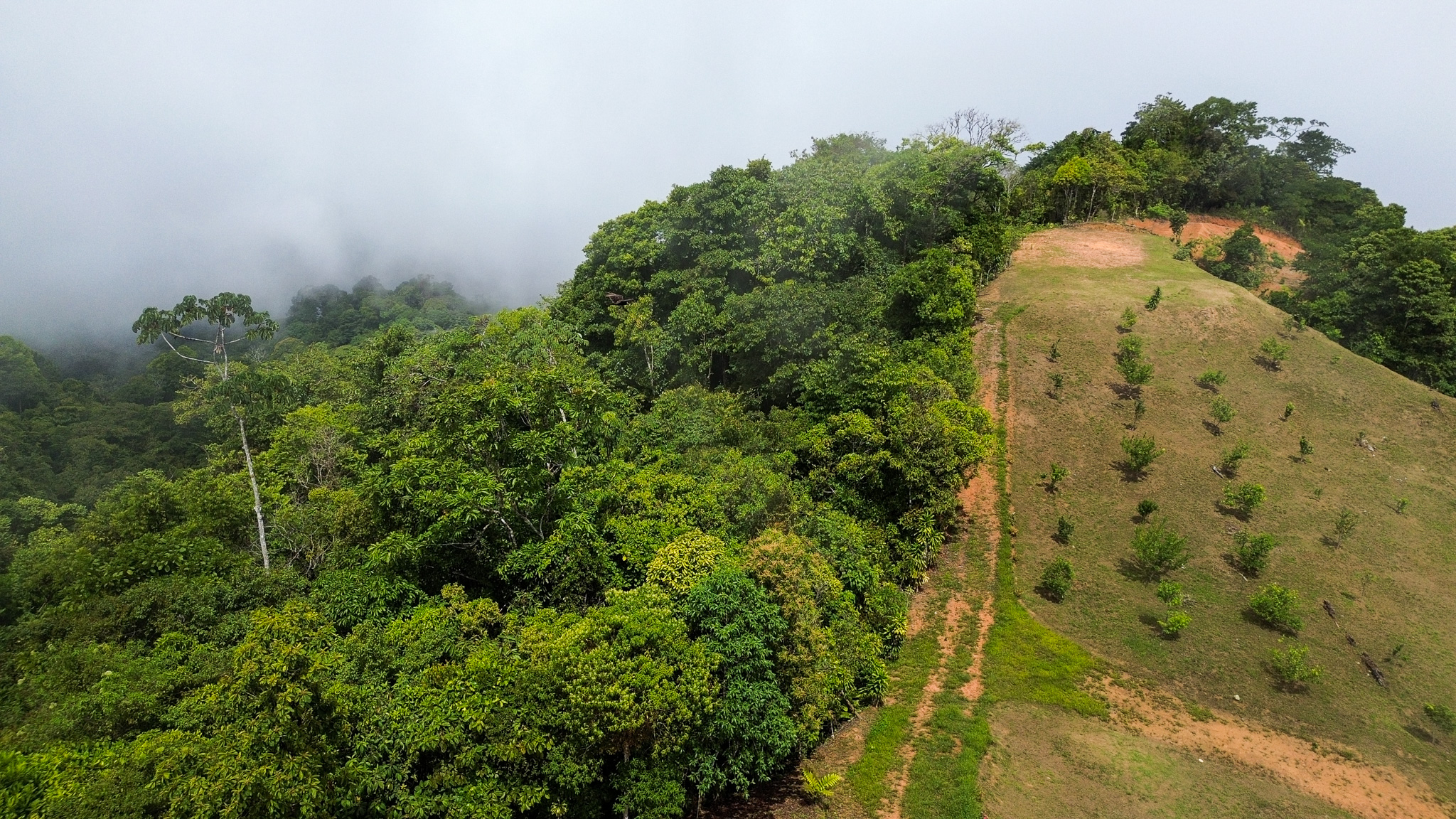 0 bed Land For Sale in Uvita, Puntarenas - thumb 6