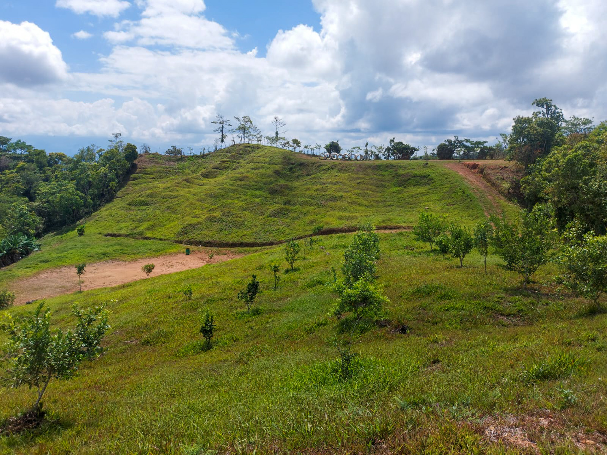 0 bed Land For Sale in Uvita, Puntarenas - thumb 19