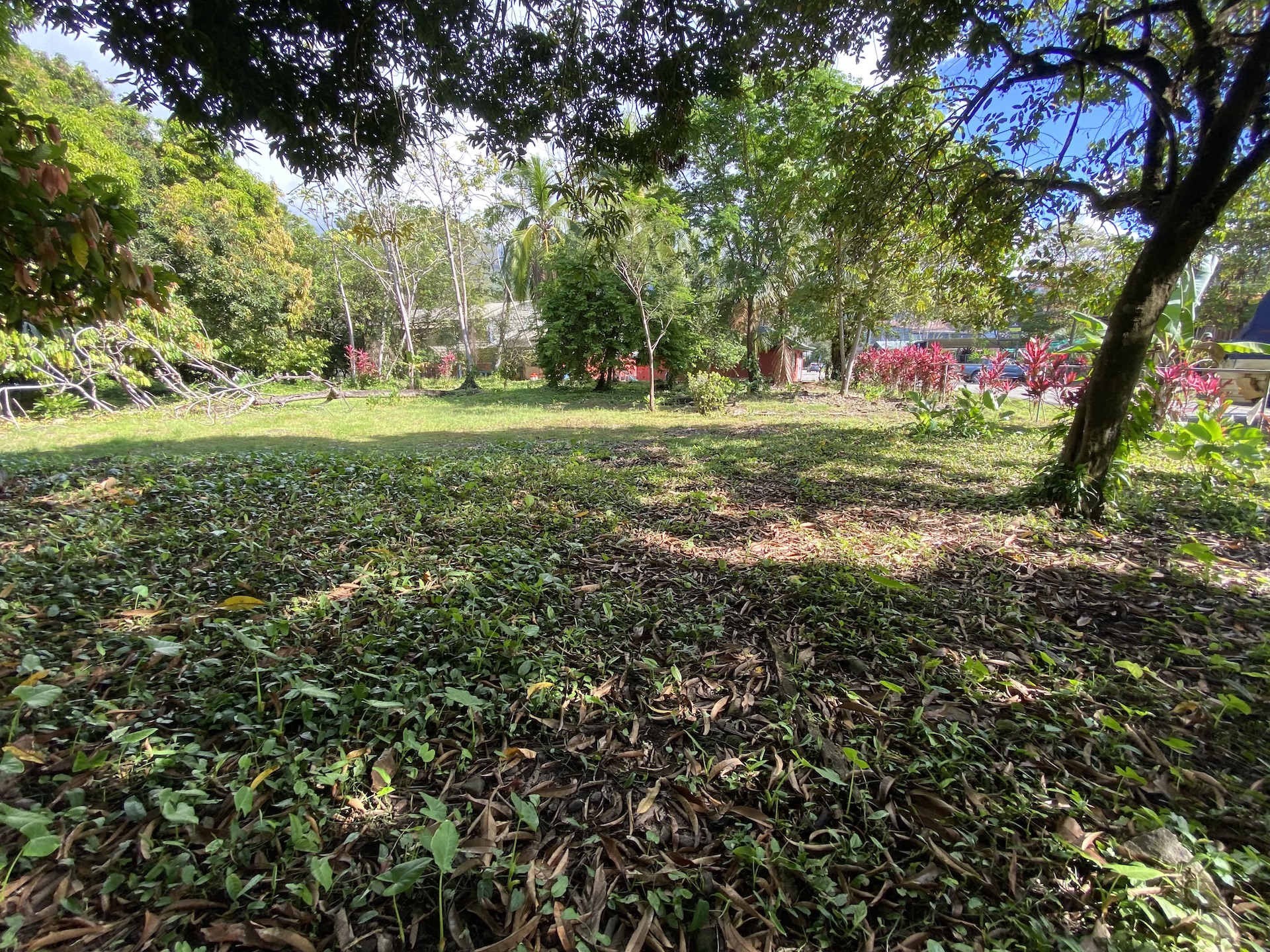 0 bed Land For Sale in Uvita, Puntarenas - thumb 6