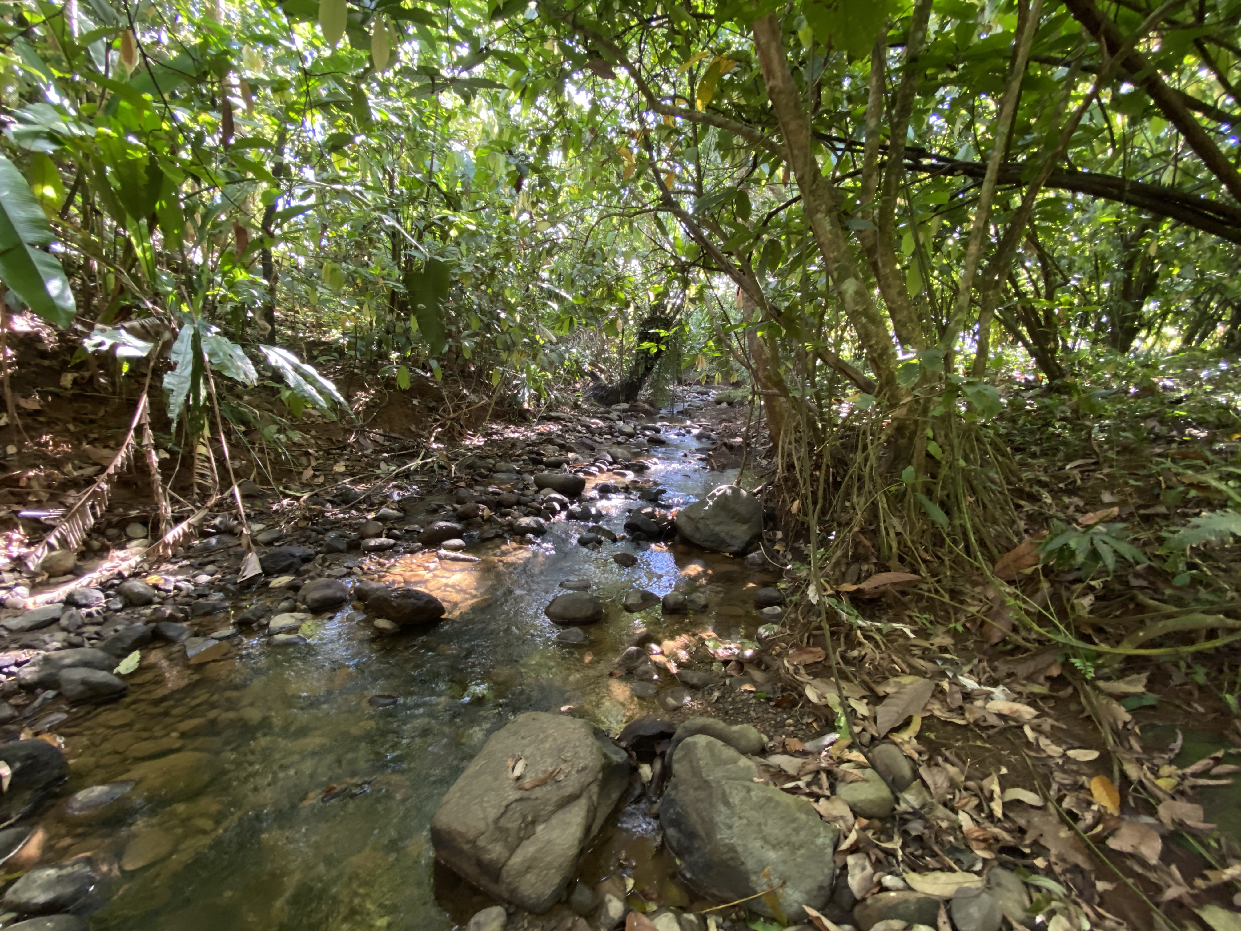 0 bed Land For Sale in Uvita, Puntarenas - thumb 11