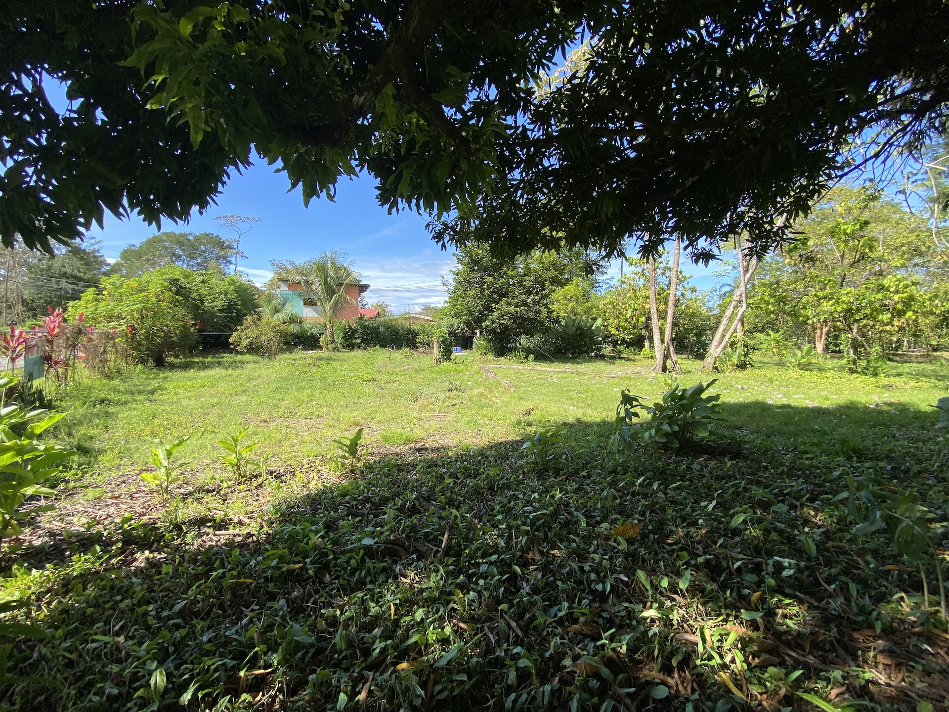 0 bed Land For Sale in Uvita, Puntarenas - thumb 5