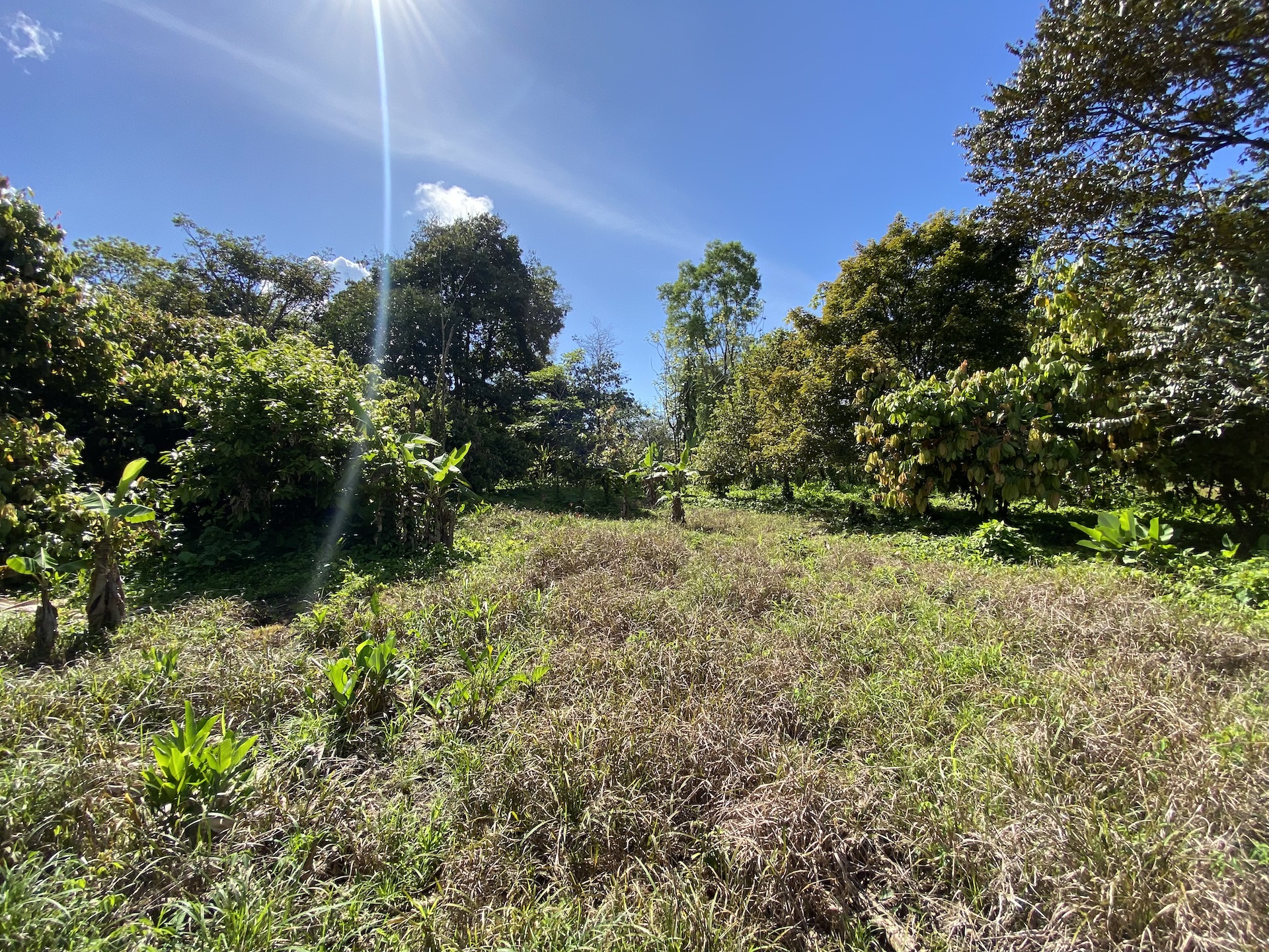 0 bed Land For Sale in Uvita, Puntarenas - thumb 13