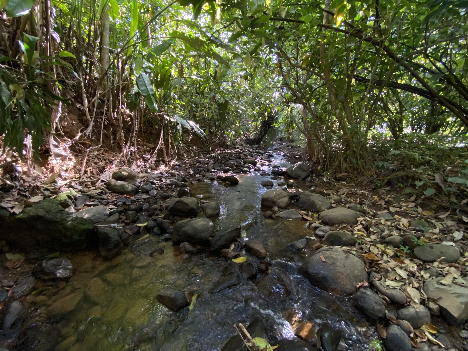 0 bed Land For Sale in Uvita, Puntarenas - thumb 12