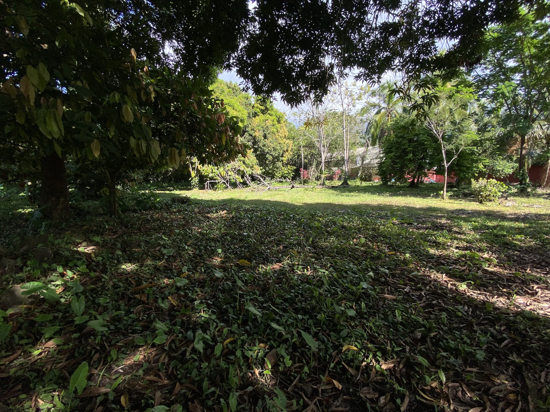0 bed Land For Sale in Uvita, Puntarenas - thumb 7