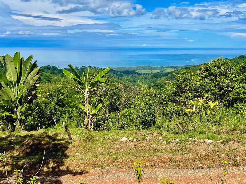 0 bed Land For Sale in Dominical, Puntarenas - 1