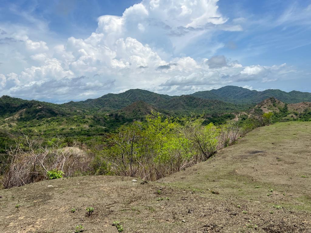 0 bed Land For Sale in Playa Flamingo, Guanacaste - thumb 6