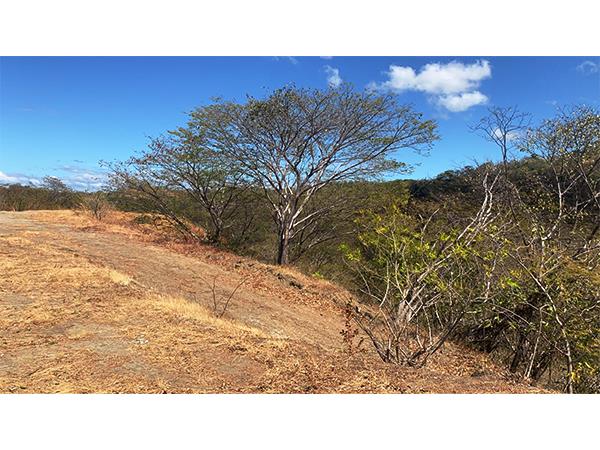 0 bed Land For Sale in Playa Flamingo, Guanacaste - thumb 12
