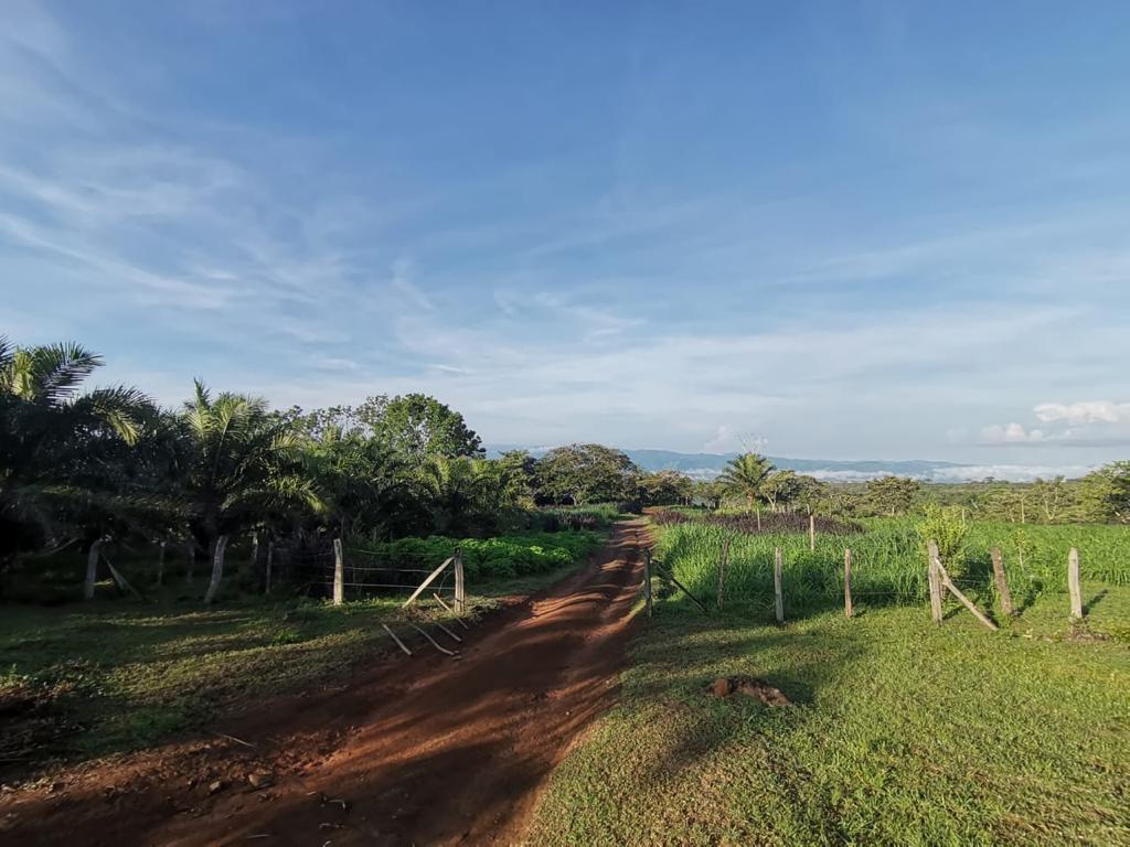 1 bed Land For Sale in Perez Zeledon, San Jose - thumb 28