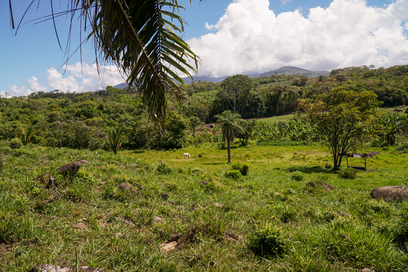 1 bed Land For Sale in Perez Zeledon, San Jose - thumb 13