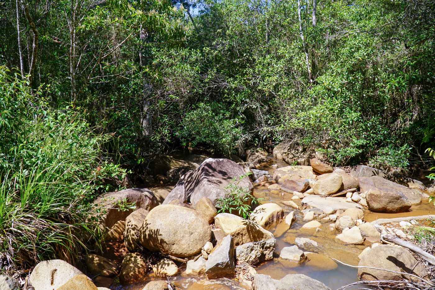 1 bed Land For Sale in Perez Zeledon, San Jose - thumb 9