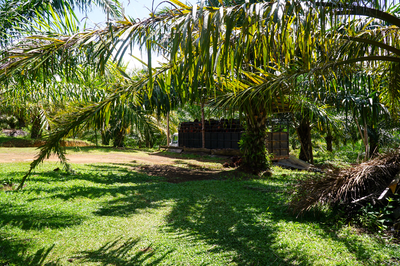 1 bed Land For Sale in Perez Zeledon, San Jose - thumb 4
