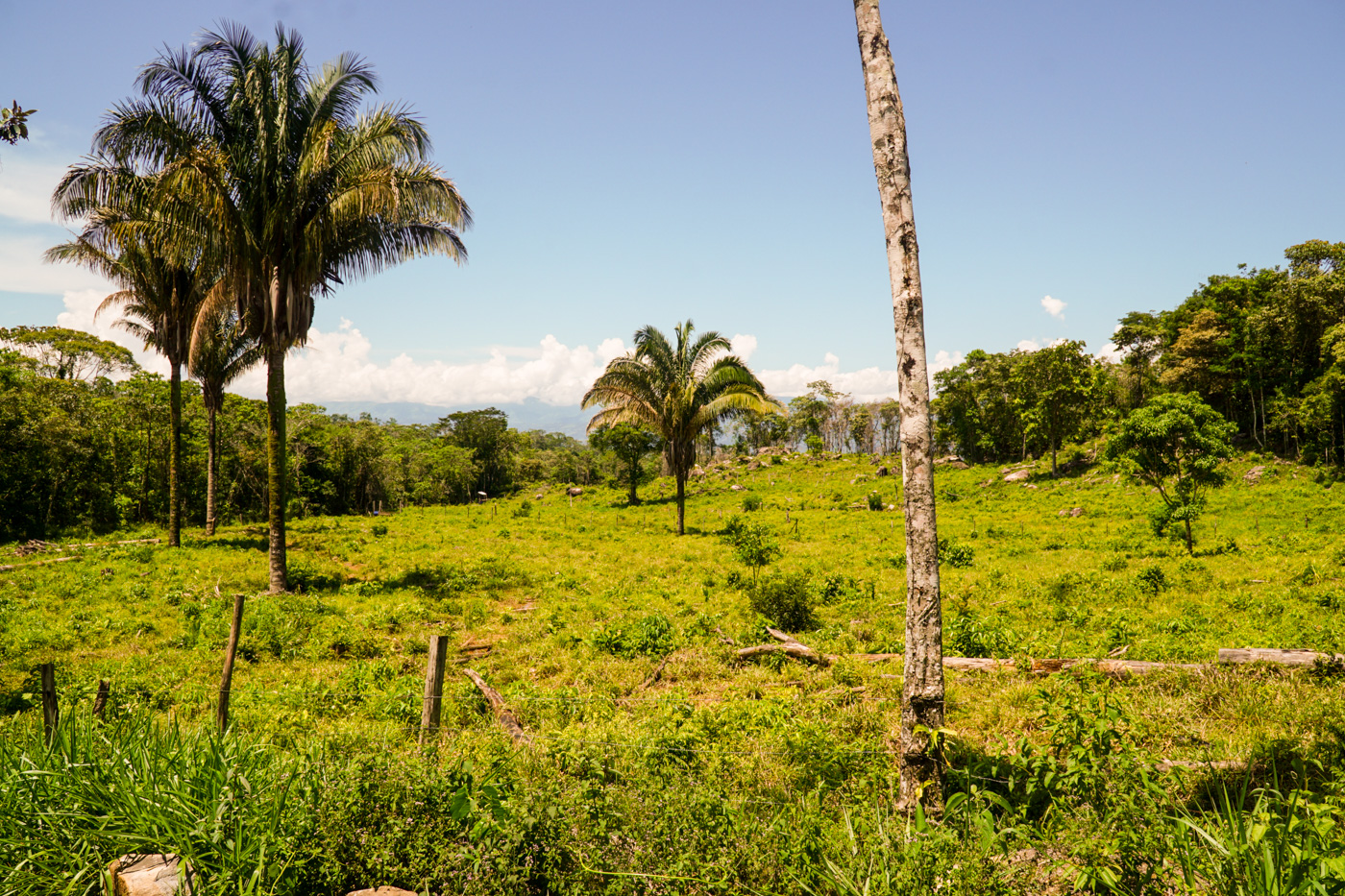 1 bed Land For Sale in Perez Zeledon, San Jose - thumb 17