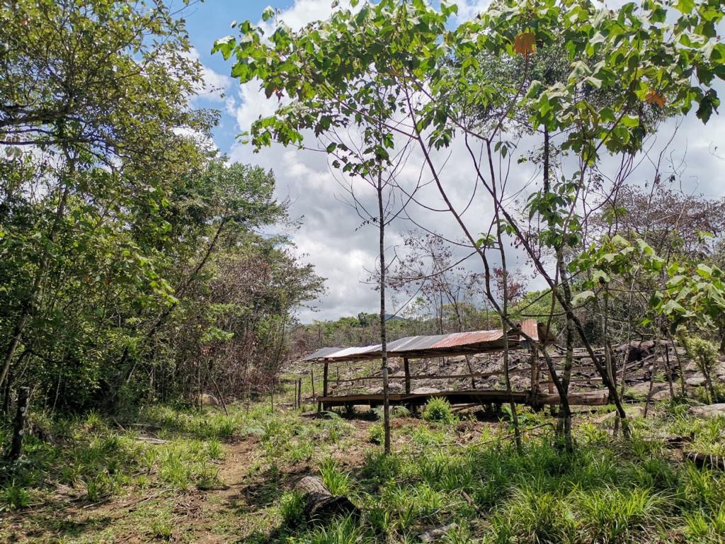 1 bed Land For Sale in Perez Zeledon, San Jose - thumb 19