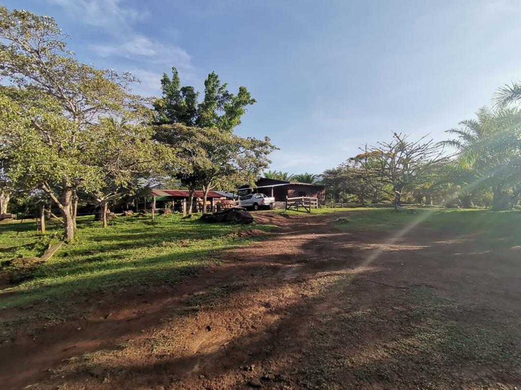 1 bed Land For Sale in Perez Zeledon, San Jose - thumb 20