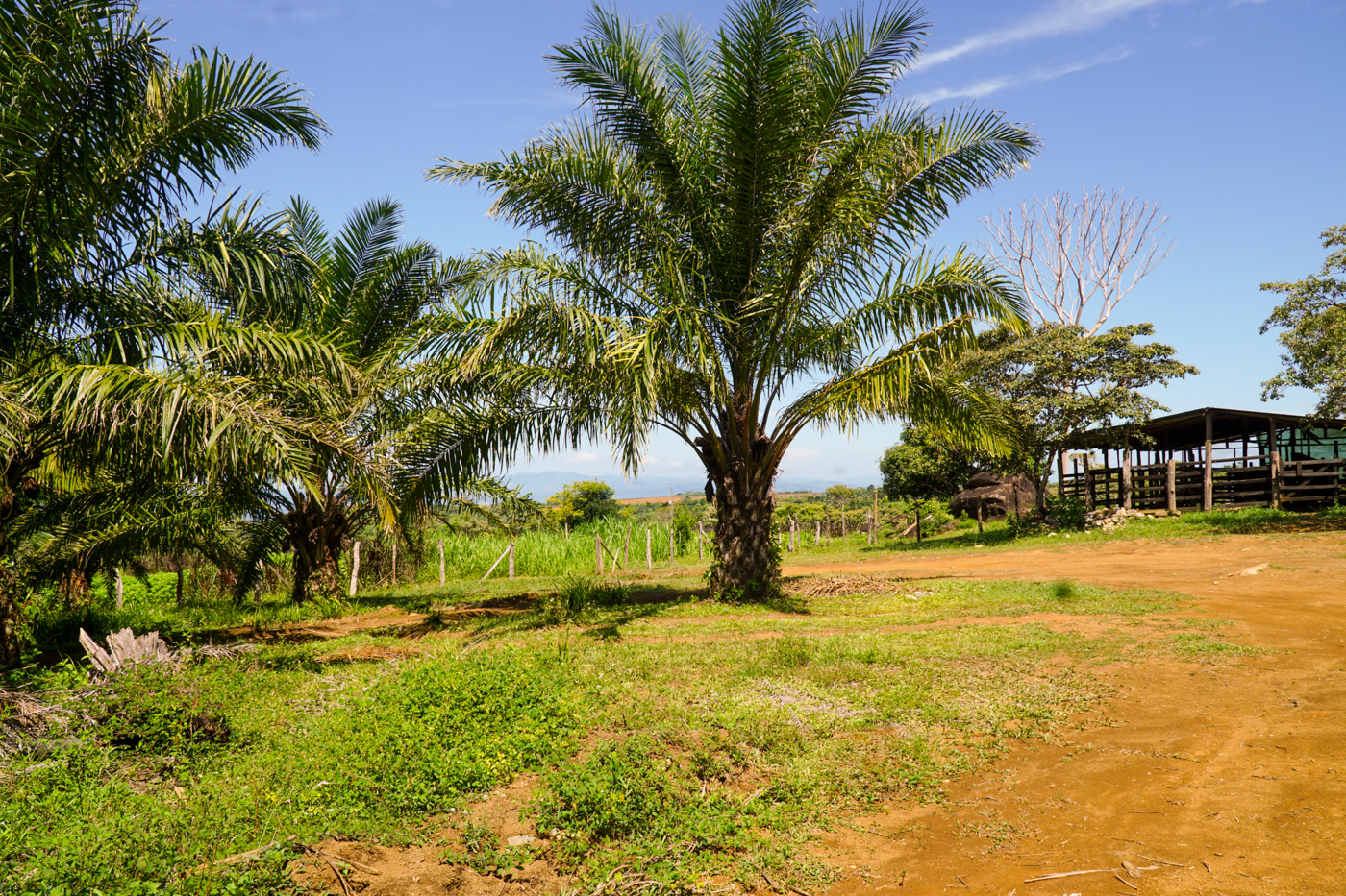 1 bed Land For Sale in Perez Zeledon, San Jose - thumb 5