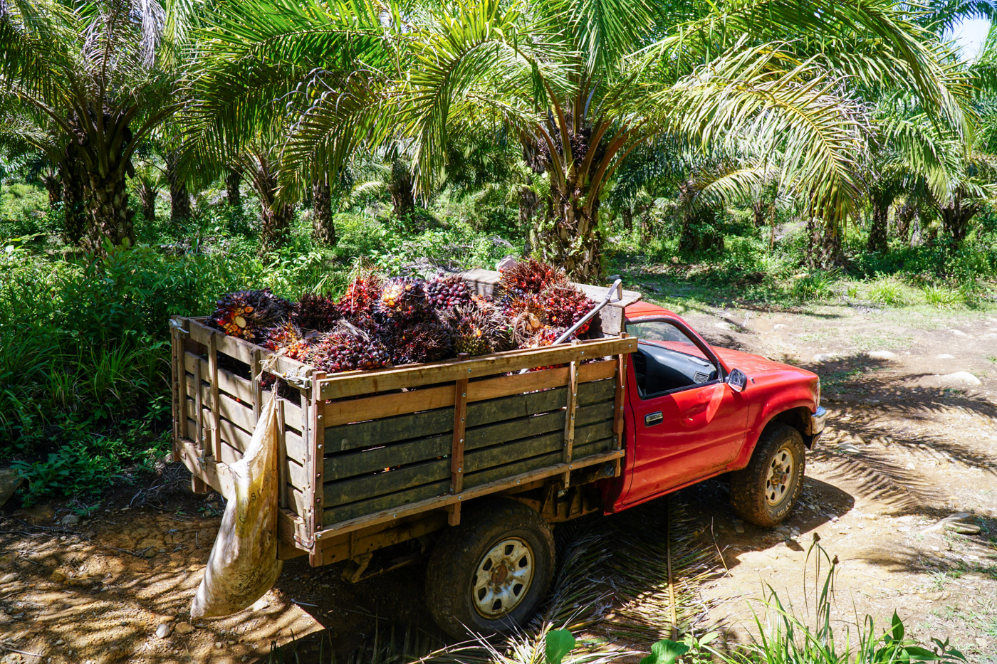 1 bed Land For Sale in Perez Zeledon, San Jose - thumb 11