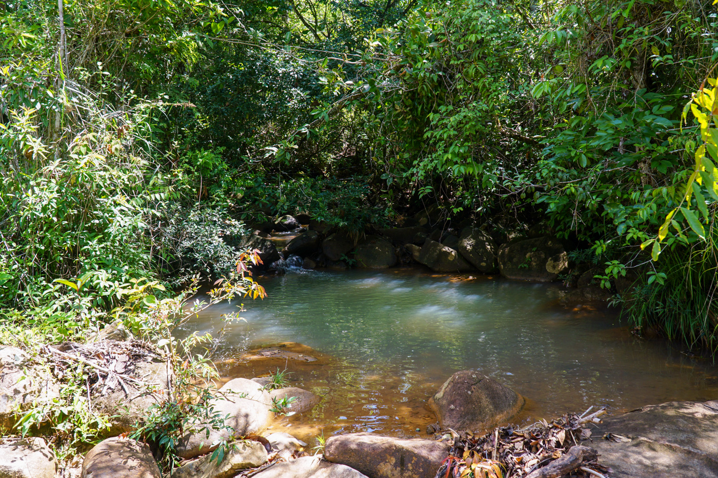 1 bed Land For Sale in Perez Zeledon, San Jose - thumb 8