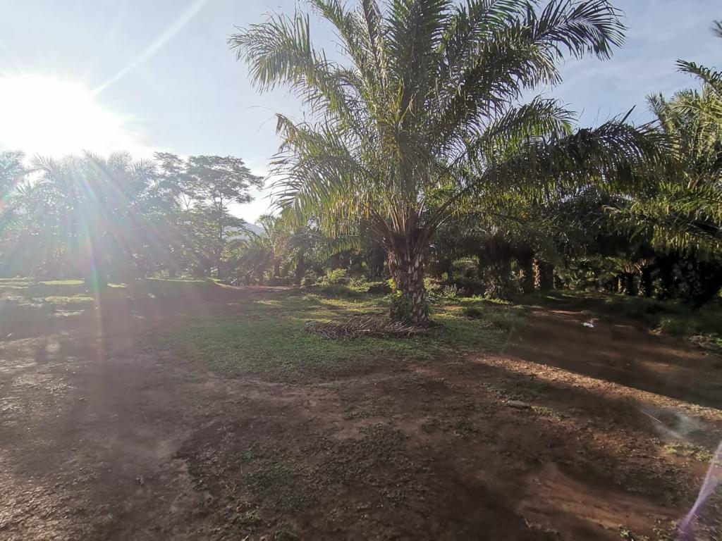 1 bed Land For Sale in Perez Zeledon, San Jose - thumb 23
