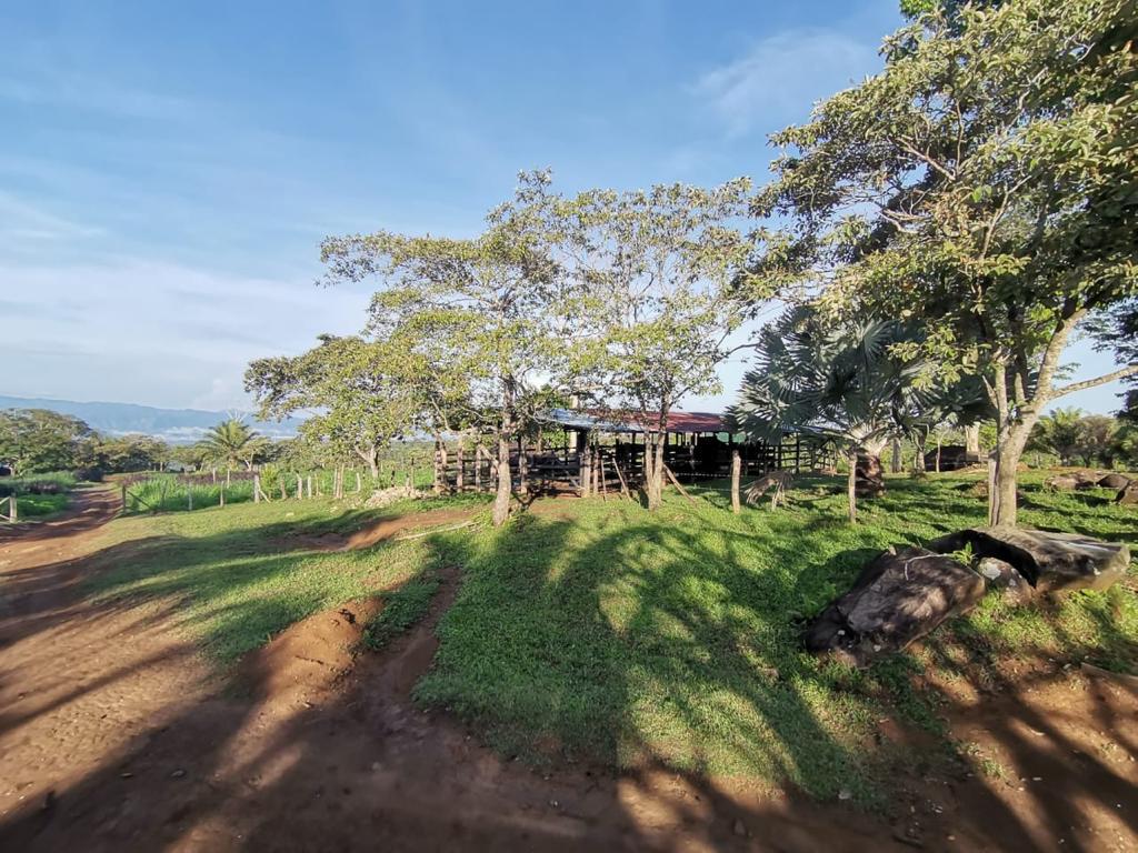 1 bed Land For Sale in Perez Zeledon, San Jose - thumb 18
