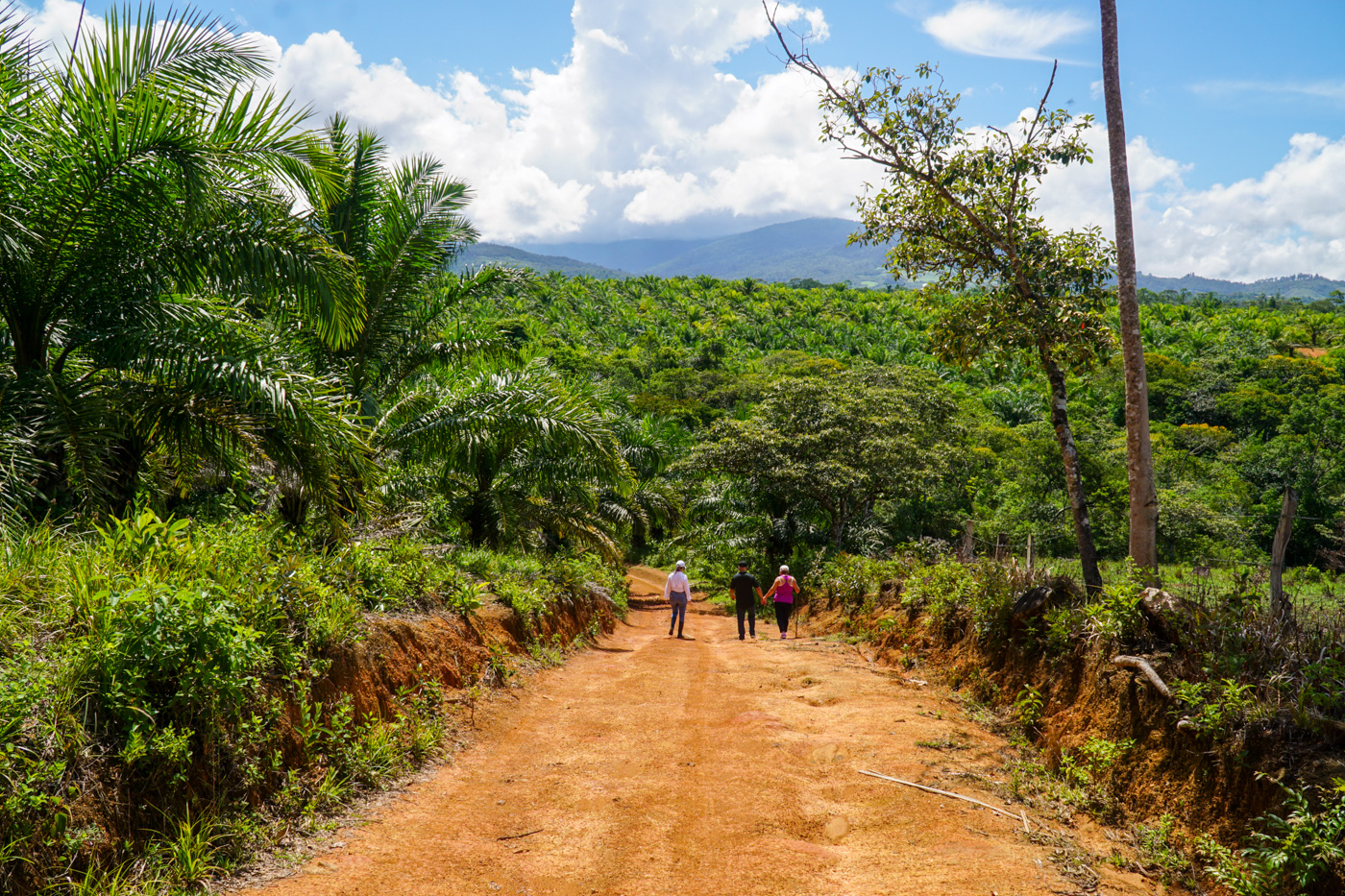 1 bed Land For Sale in Perez Zeledon, San Jose - thumb 6