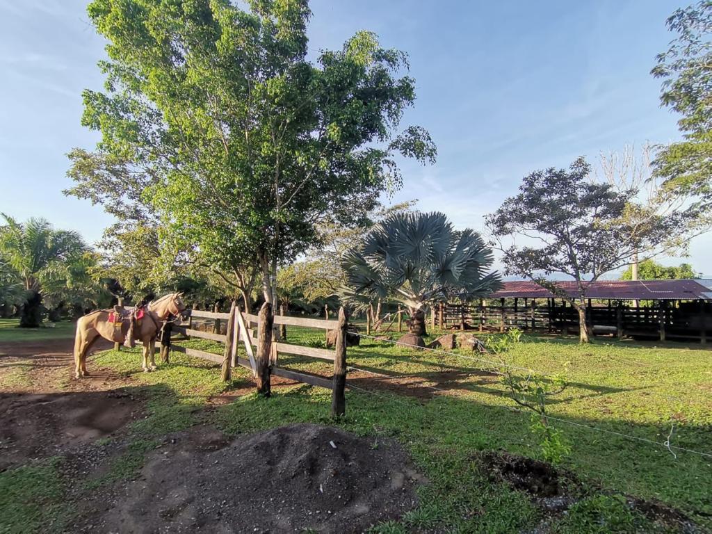 1 bed Land For Sale in Perez Zeledon, San Jose - thumb 24