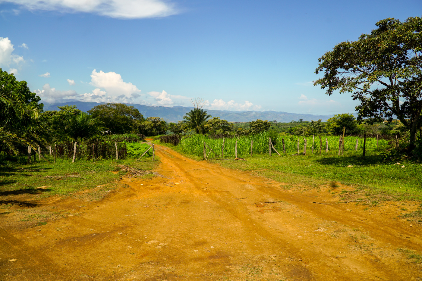 1 bed Land For Sale in Perez Zeledon, San Jose - thumb 2