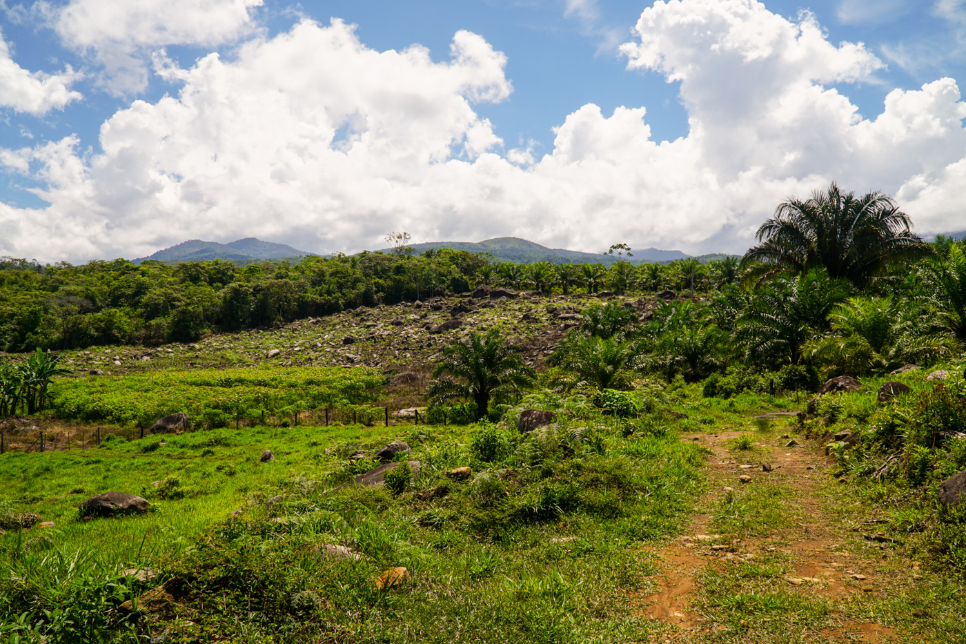 1 bed Land For Sale in Perez Zeledon, San Jose - thumb 14