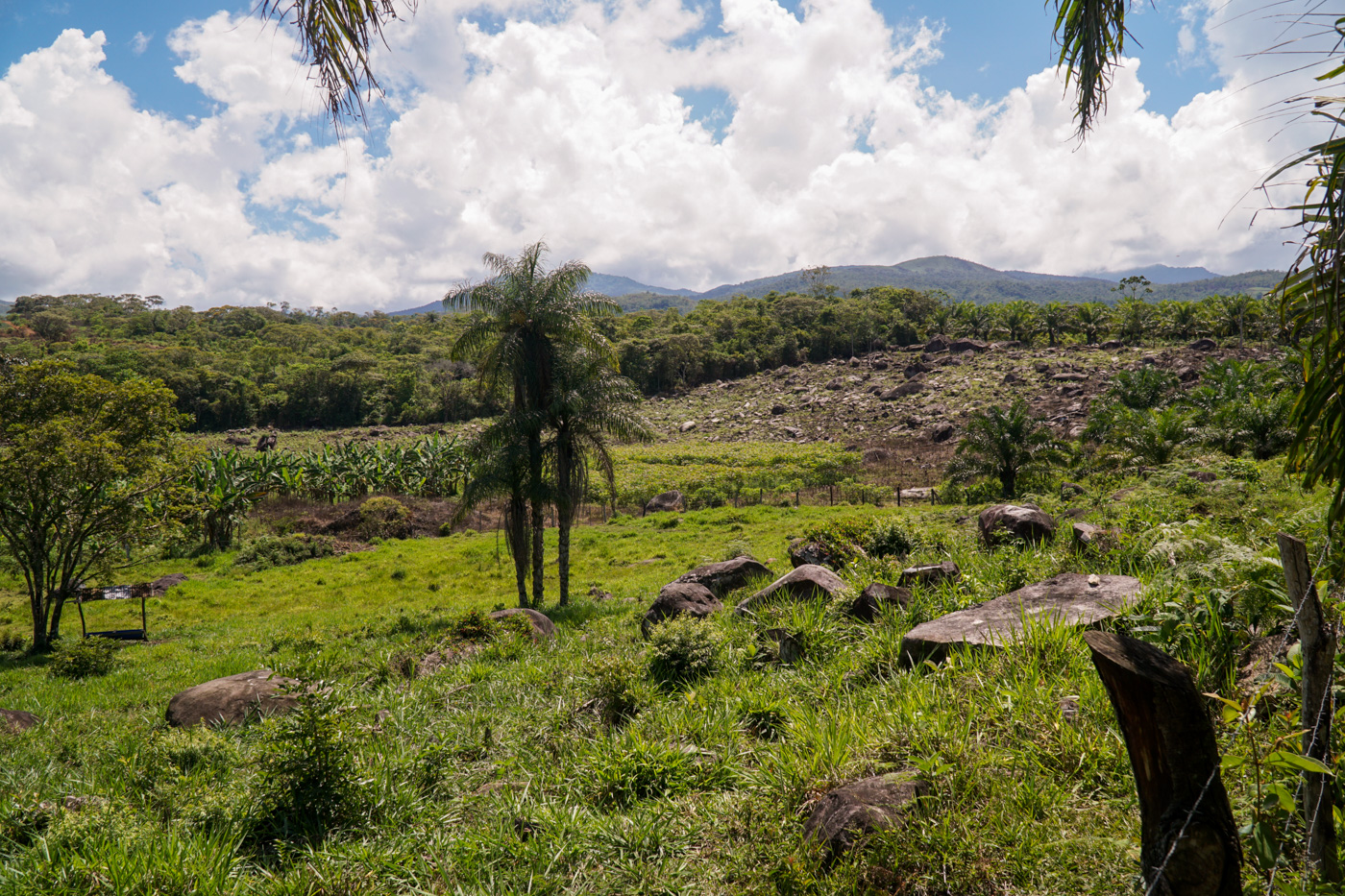 1 bed Land For Sale in Perez Zeledon, San Jose - thumb 12