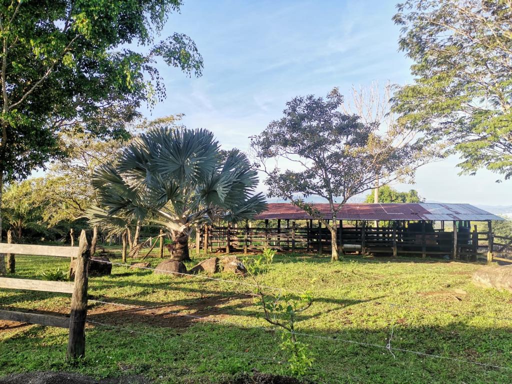 1 bed Land For Sale in Perez Zeledon, San Jose - thumb 25