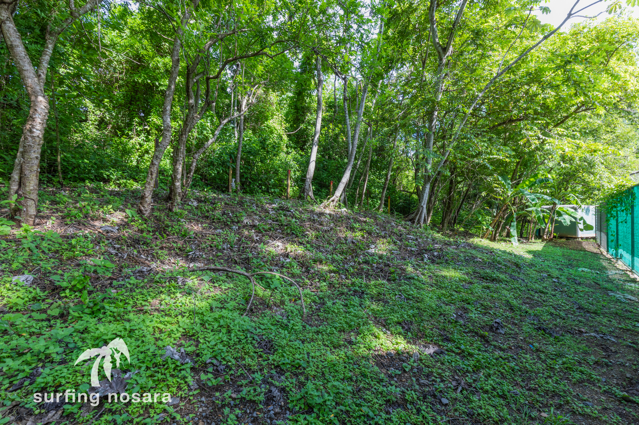 0 bed Land For Sale in Nosara, Guanacaste - thumb 1