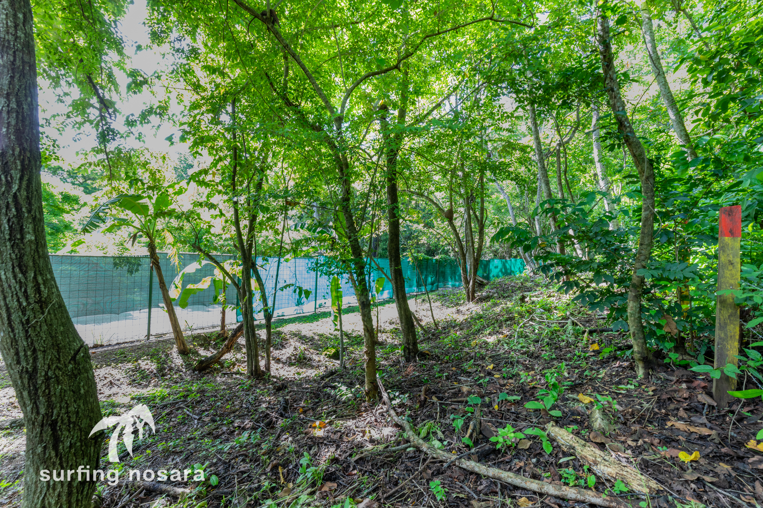 0 bed Land For Sale in Nosara, Guanacaste - thumb 2