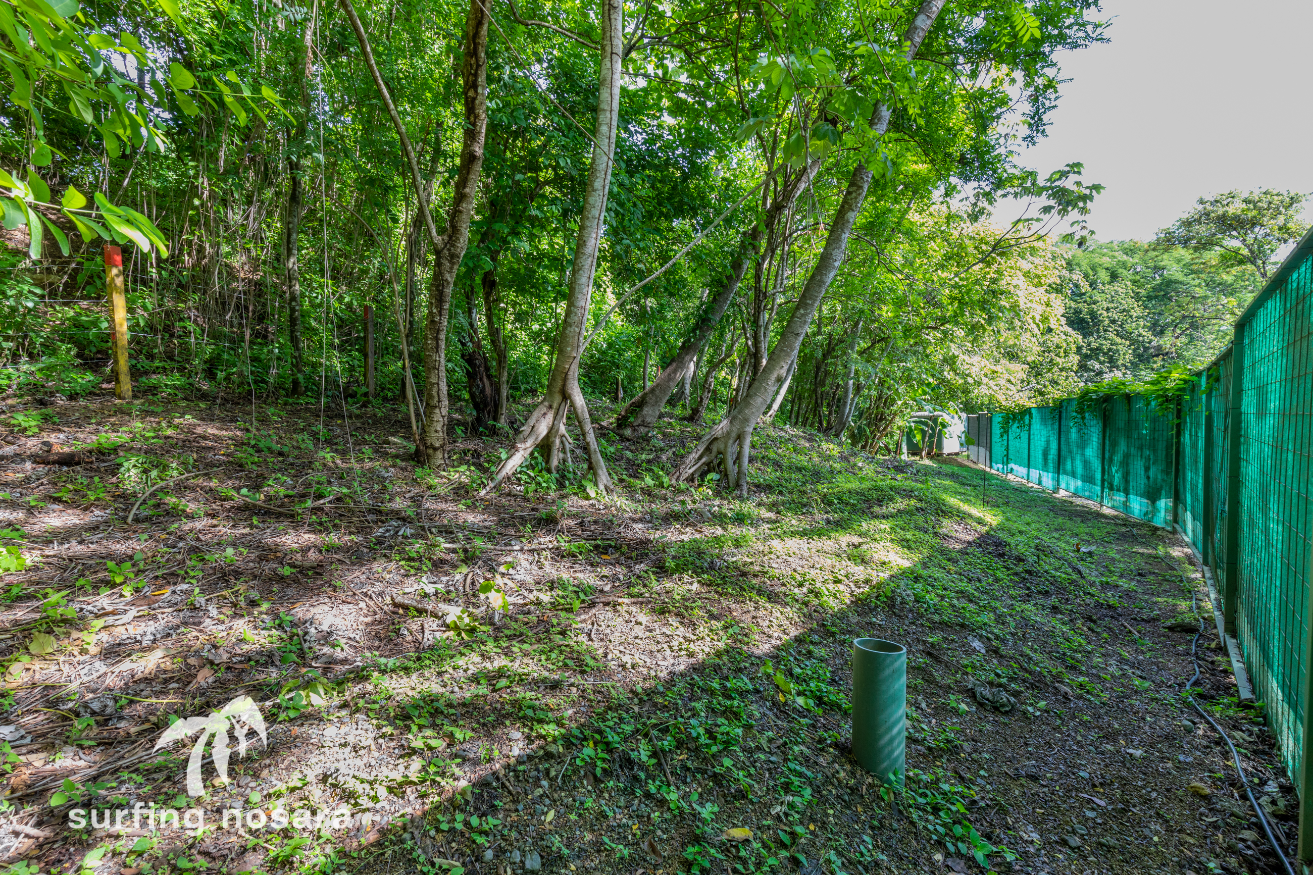 0 bed Land For Sale in Nosara, Guanacaste - thumb 5