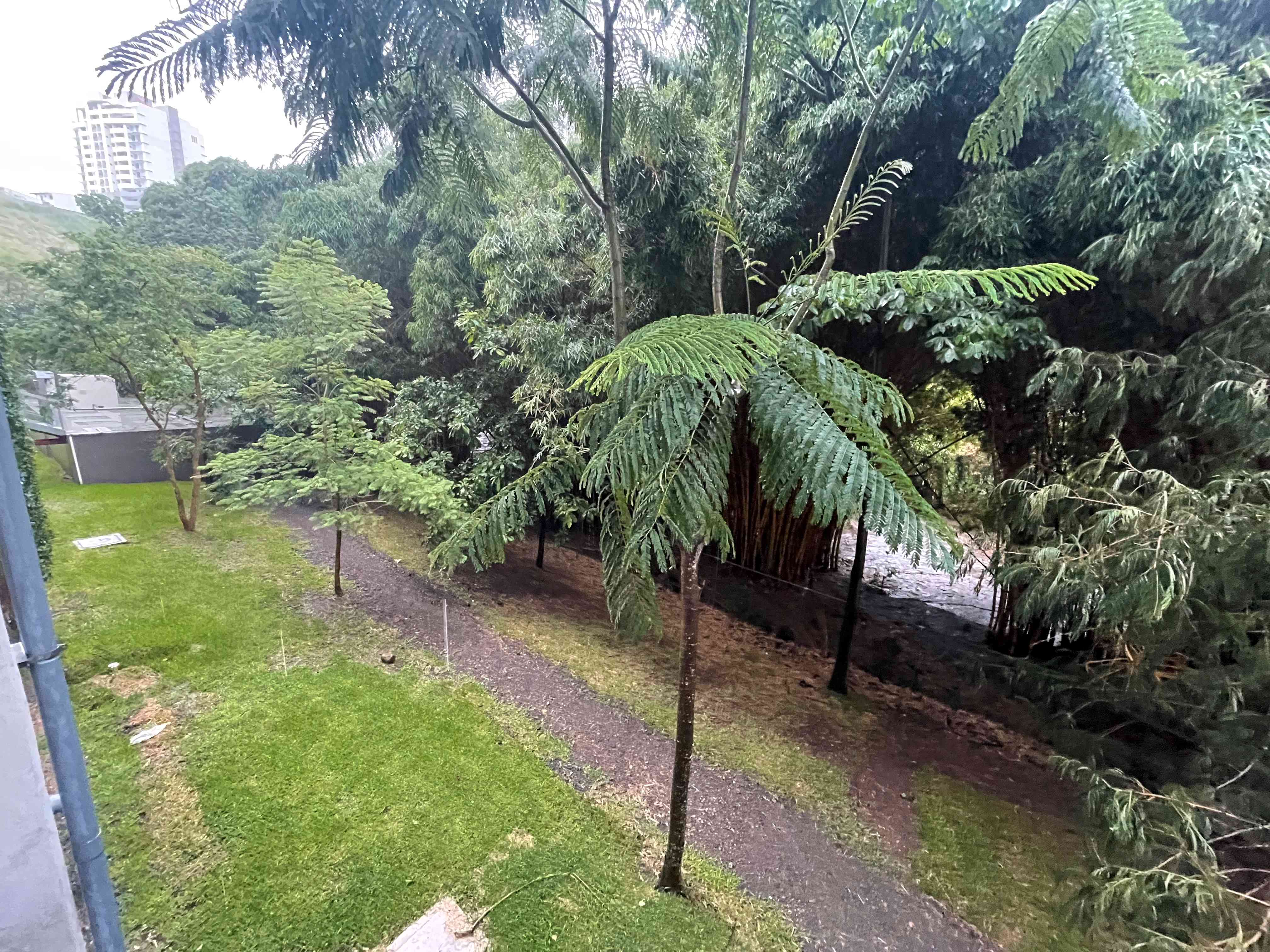 2 bed Apartment For Rent in La Sabana, San Jose - thumb 27