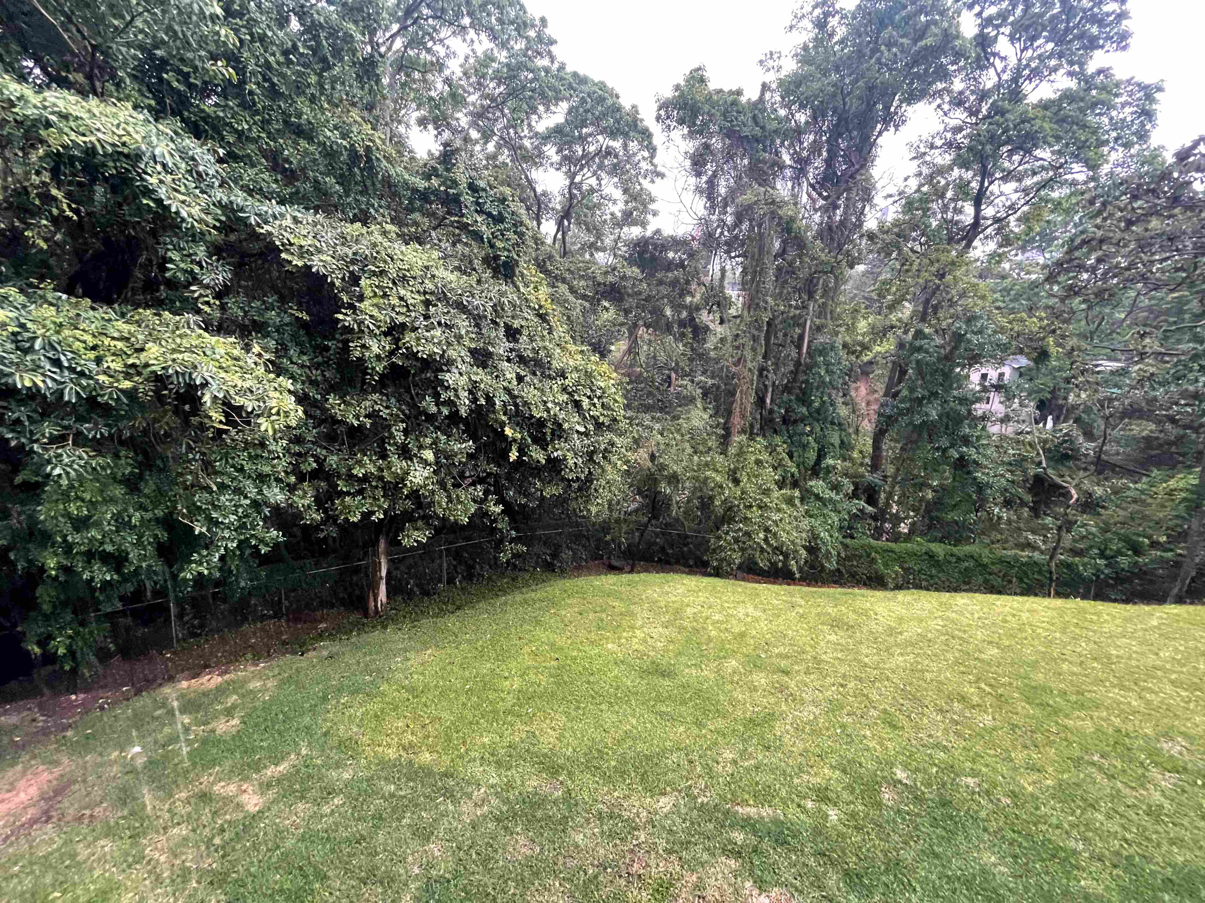 2 bed Apartment For Rent in La Sabana, San Jose - thumb 25