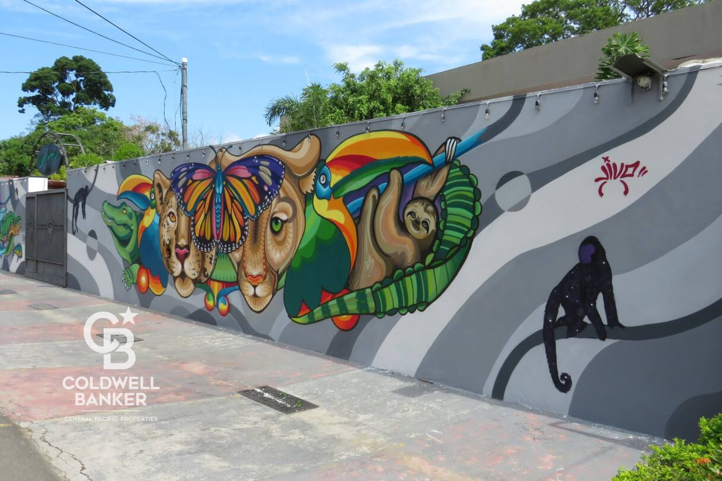 10 bed Hotel / Leisure For Sale in Jaco, Puntarenas - thumb 8