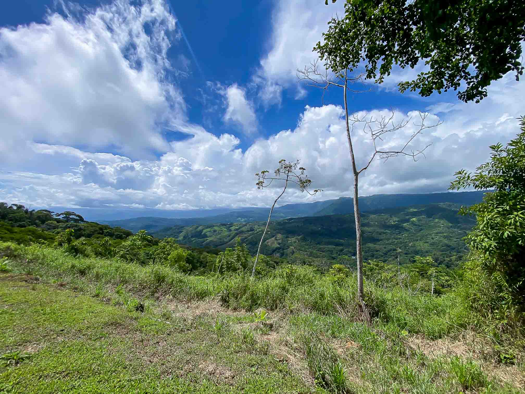 0 bed Land For Sale in Dominical, Puntarenas - thumb 4