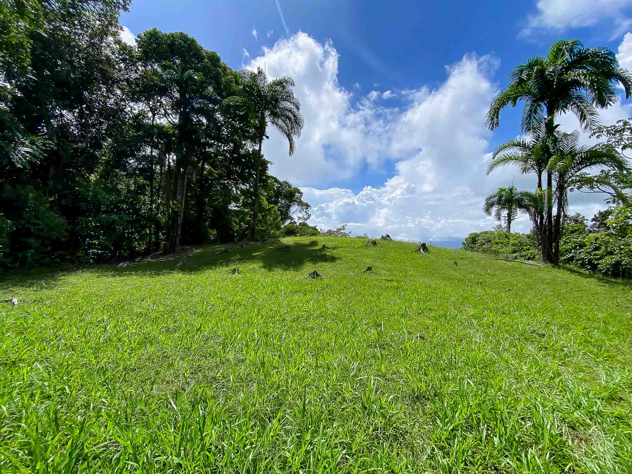 0 bed Land For Sale in Dominical, Puntarenas - thumb 1