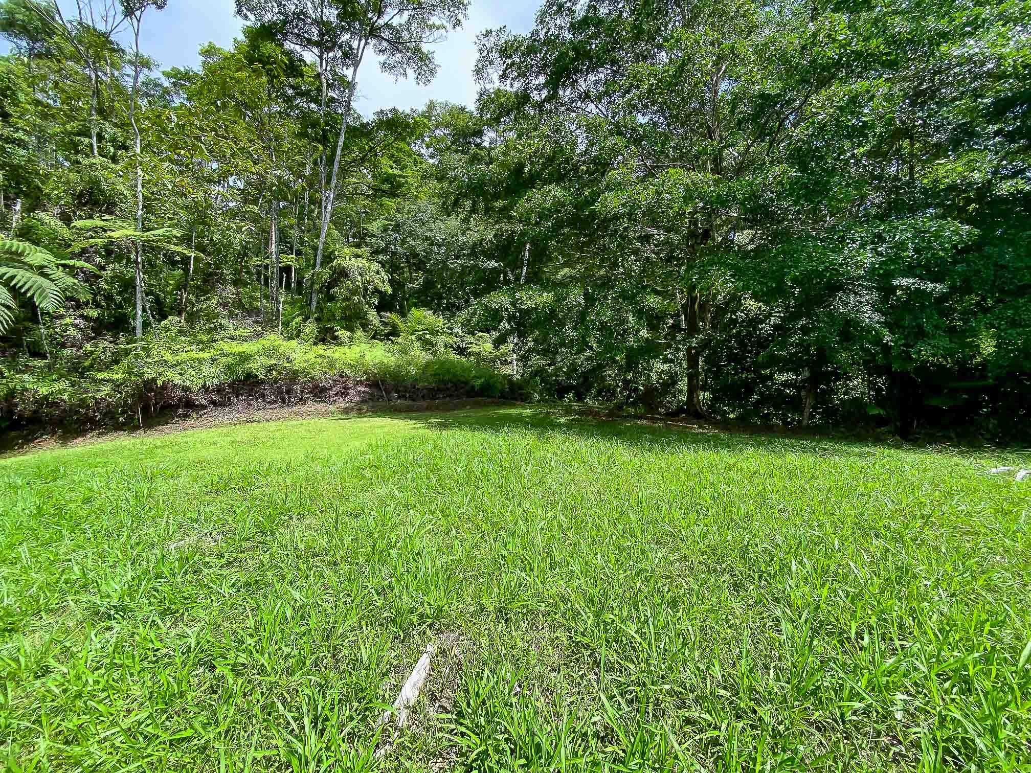 0 bed Land For Sale in Dominical, Puntarenas - thumb 7