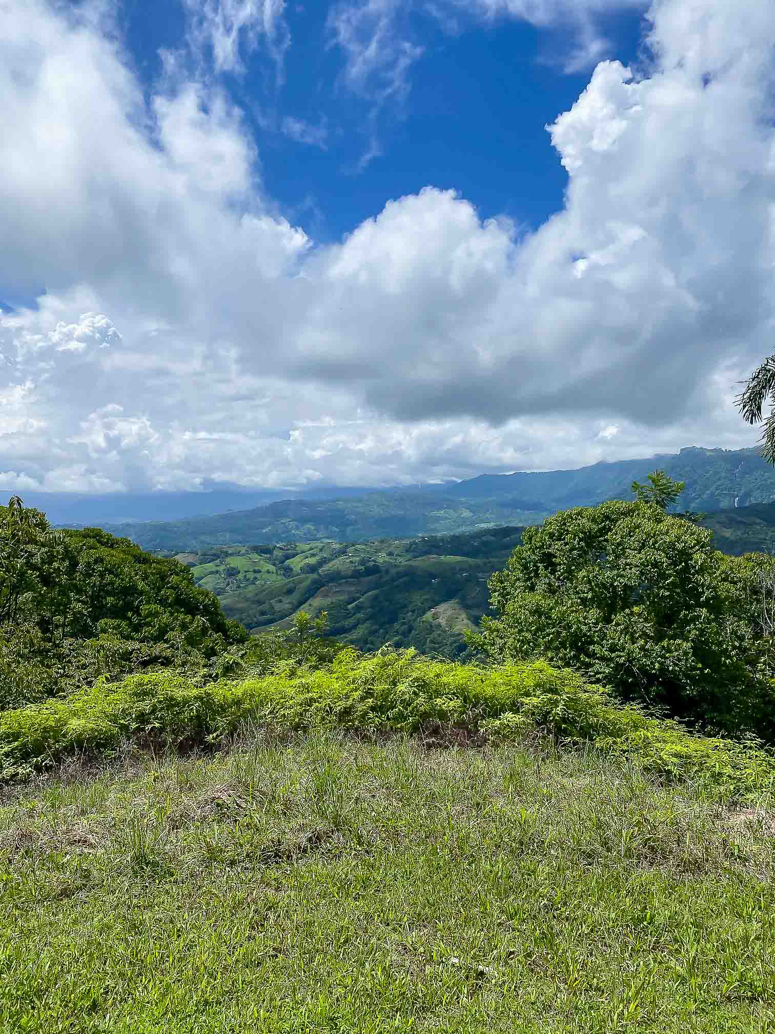 0 bed Land For Sale in Dominical, Puntarenas - thumb 5