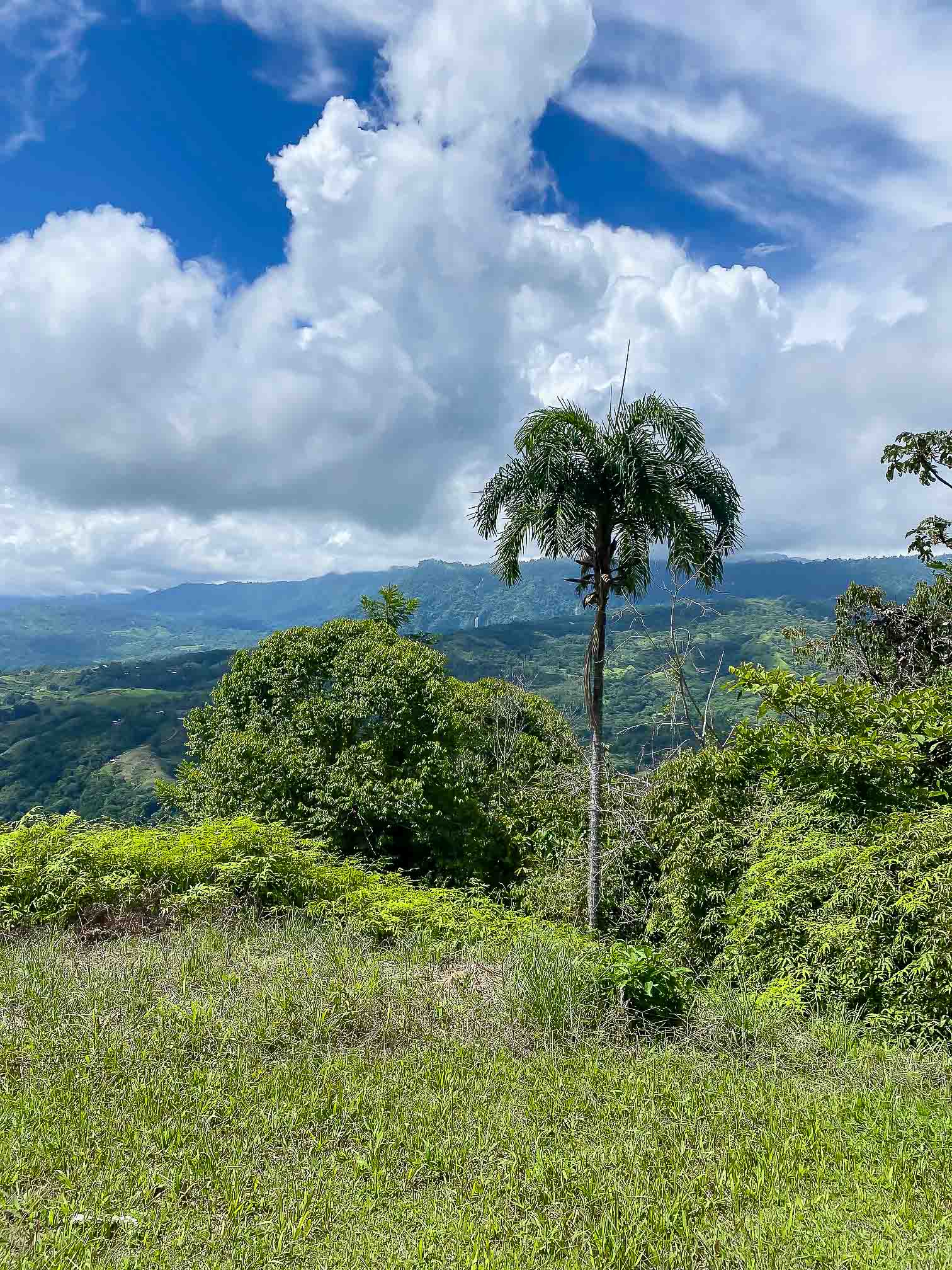 0 bed Land For Sale in Dominical, Puntarenas - thumb 6