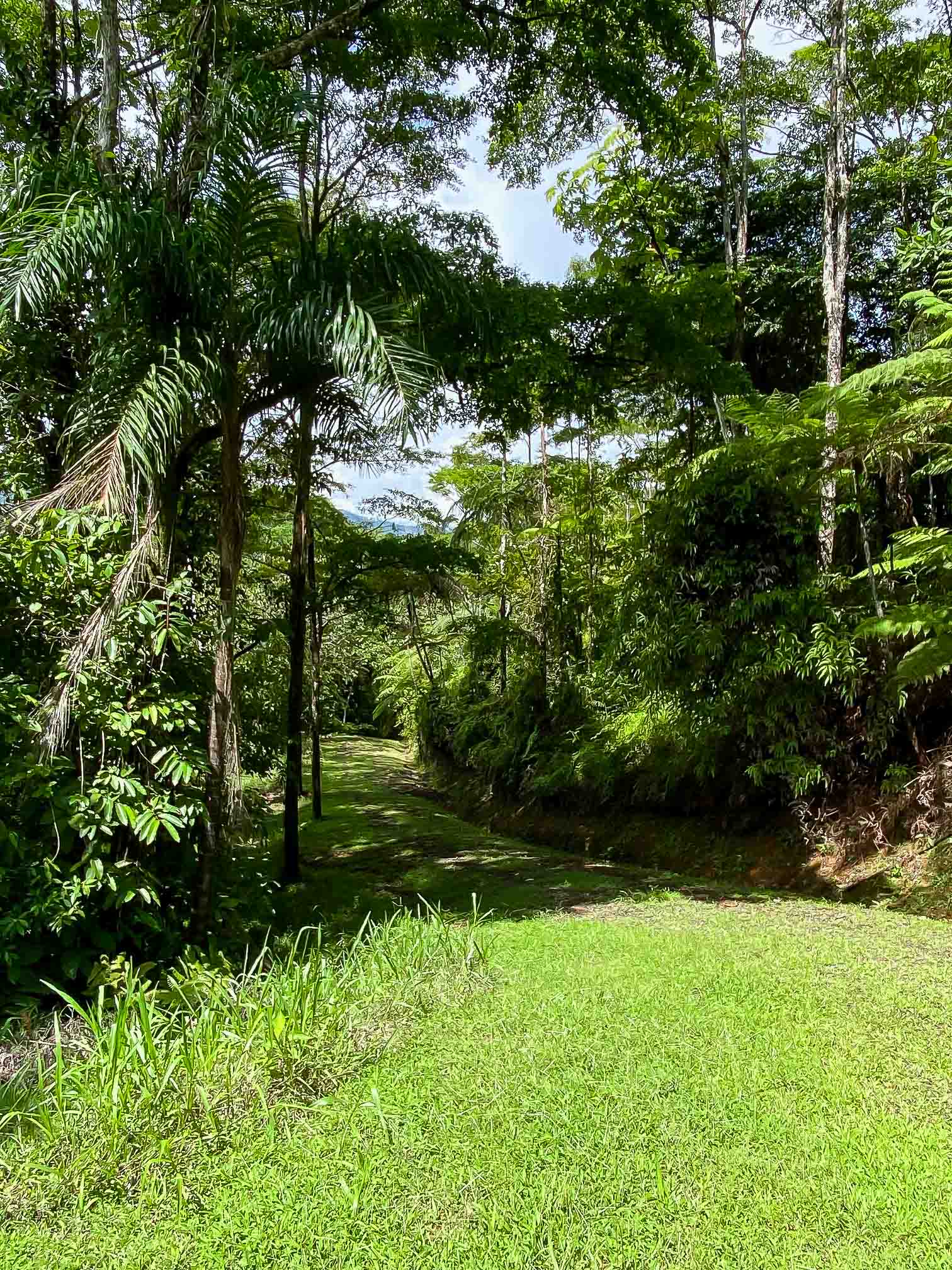 0 bed Land For Sale in Dominical, Puntarenas - thumb 8