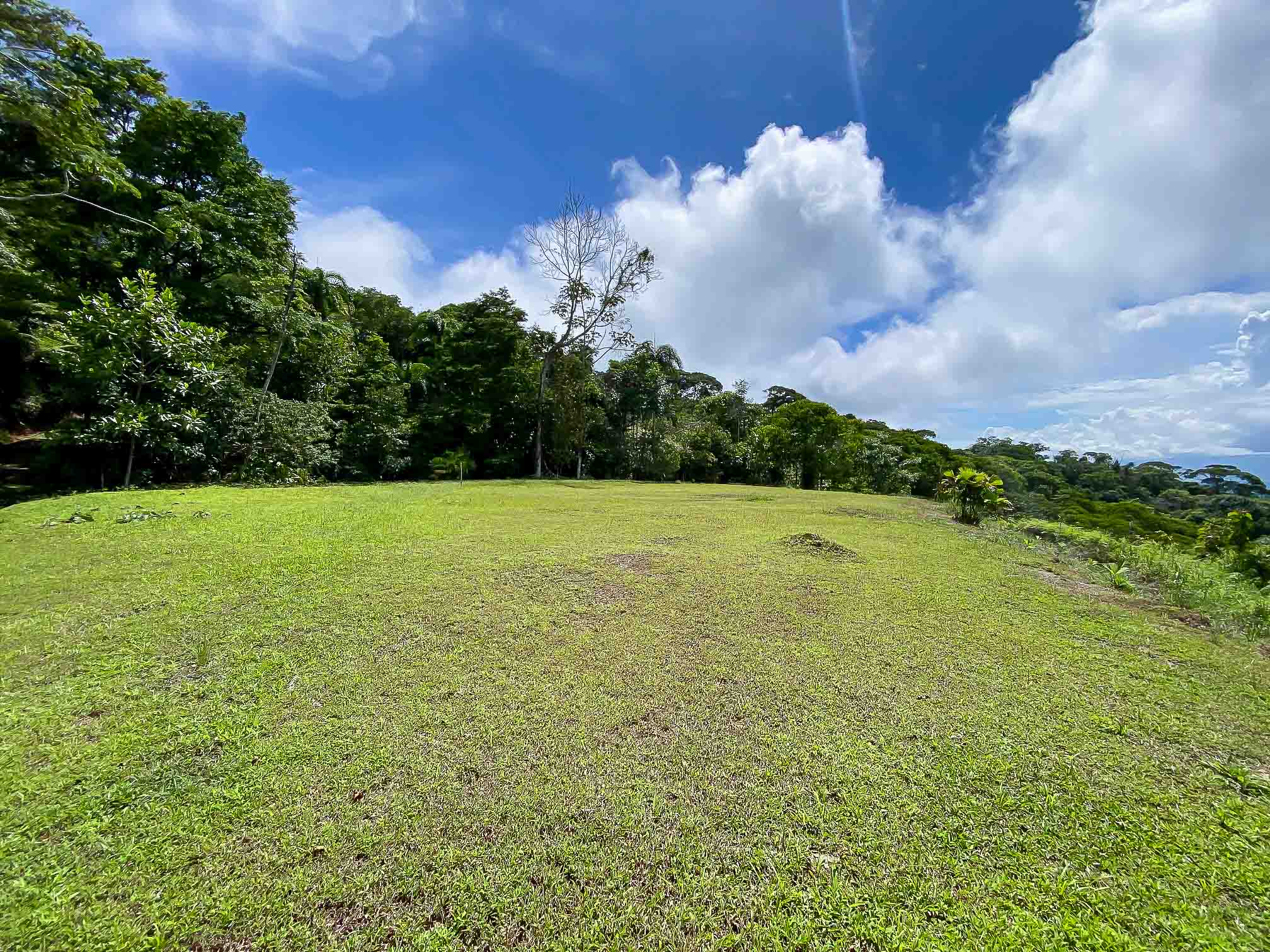 0 bed Land For Sale in Dominical, Puntarenas - thumb 3