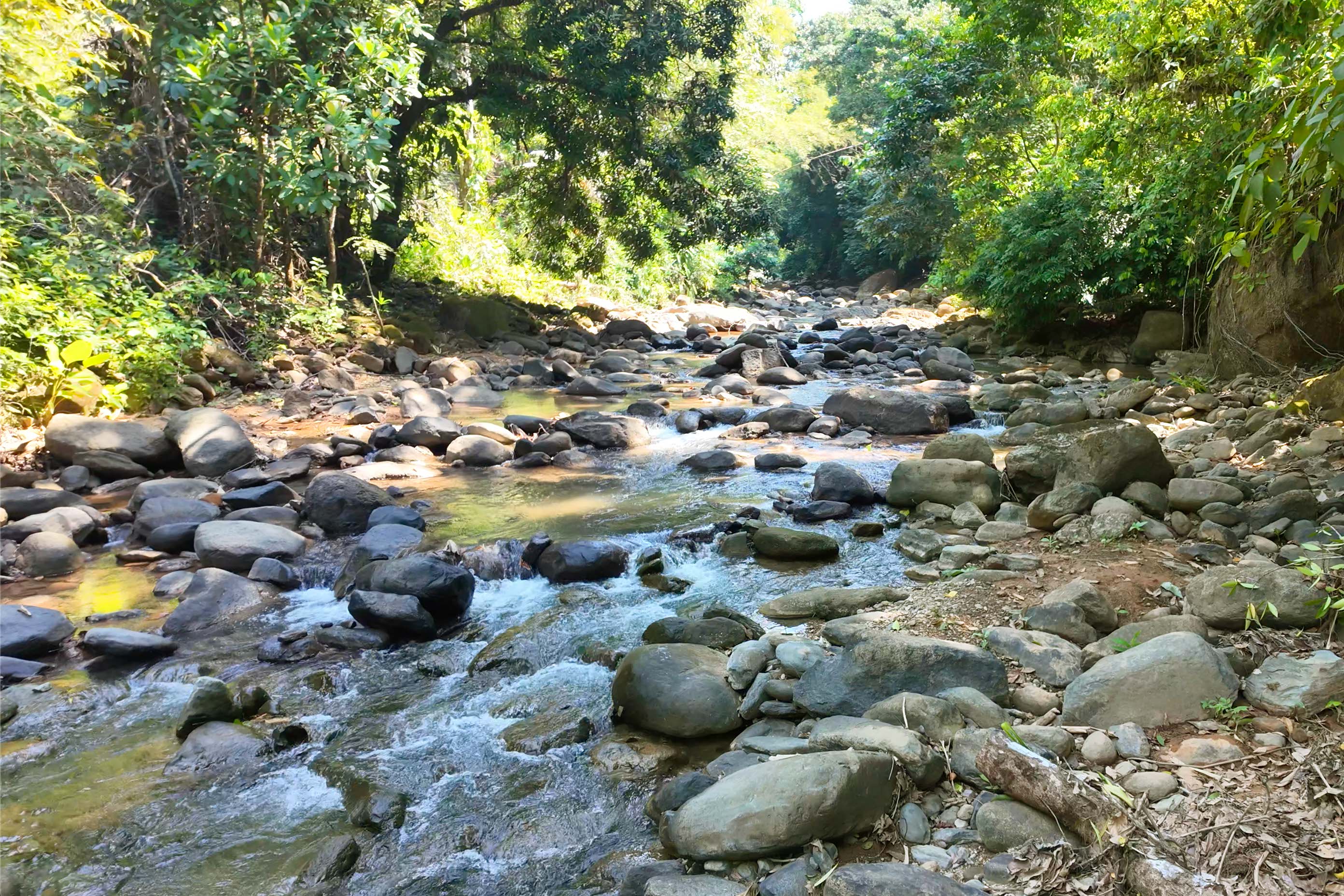 4 bed Single Family Homes For Sale in Savegre, Puntarenas - thumb 28