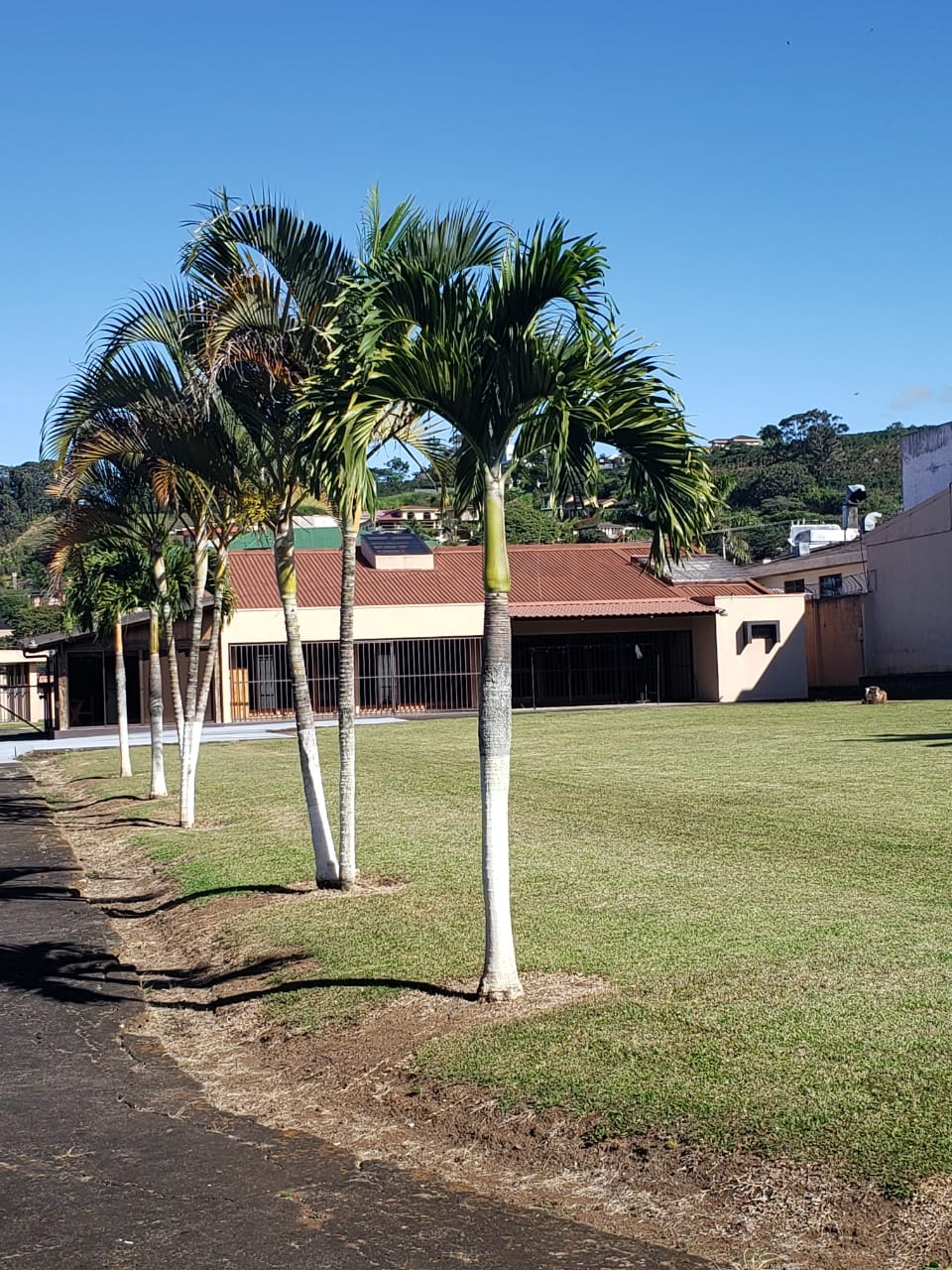 5 bed Land For Sale in Tres Ríos, Cartago - thumb 8