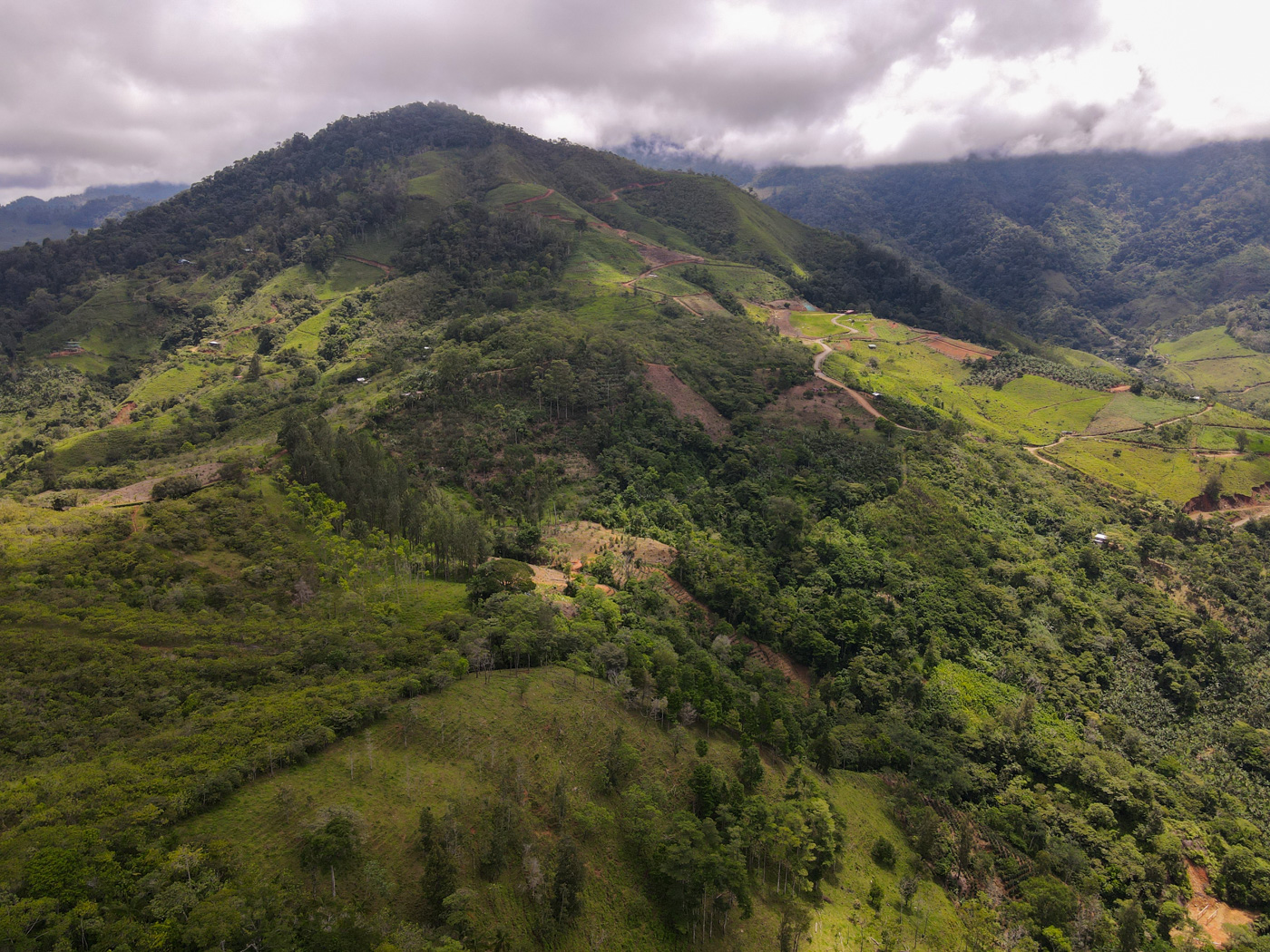 0 bed Land For Sale in Perez Zeledon, San Jose - thumb 14