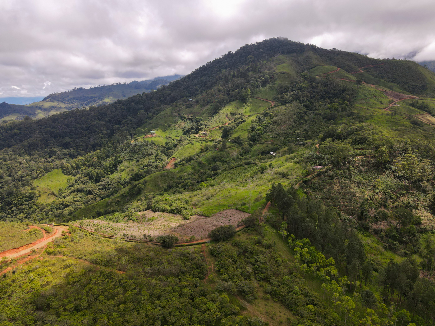 0 bed Land For Sale in Perez Zeledon, San Jose - thumb 6