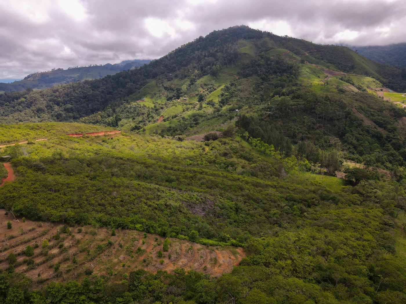 0 bed Land For Sale in Perez Zeledon, San Jose - thumb 13